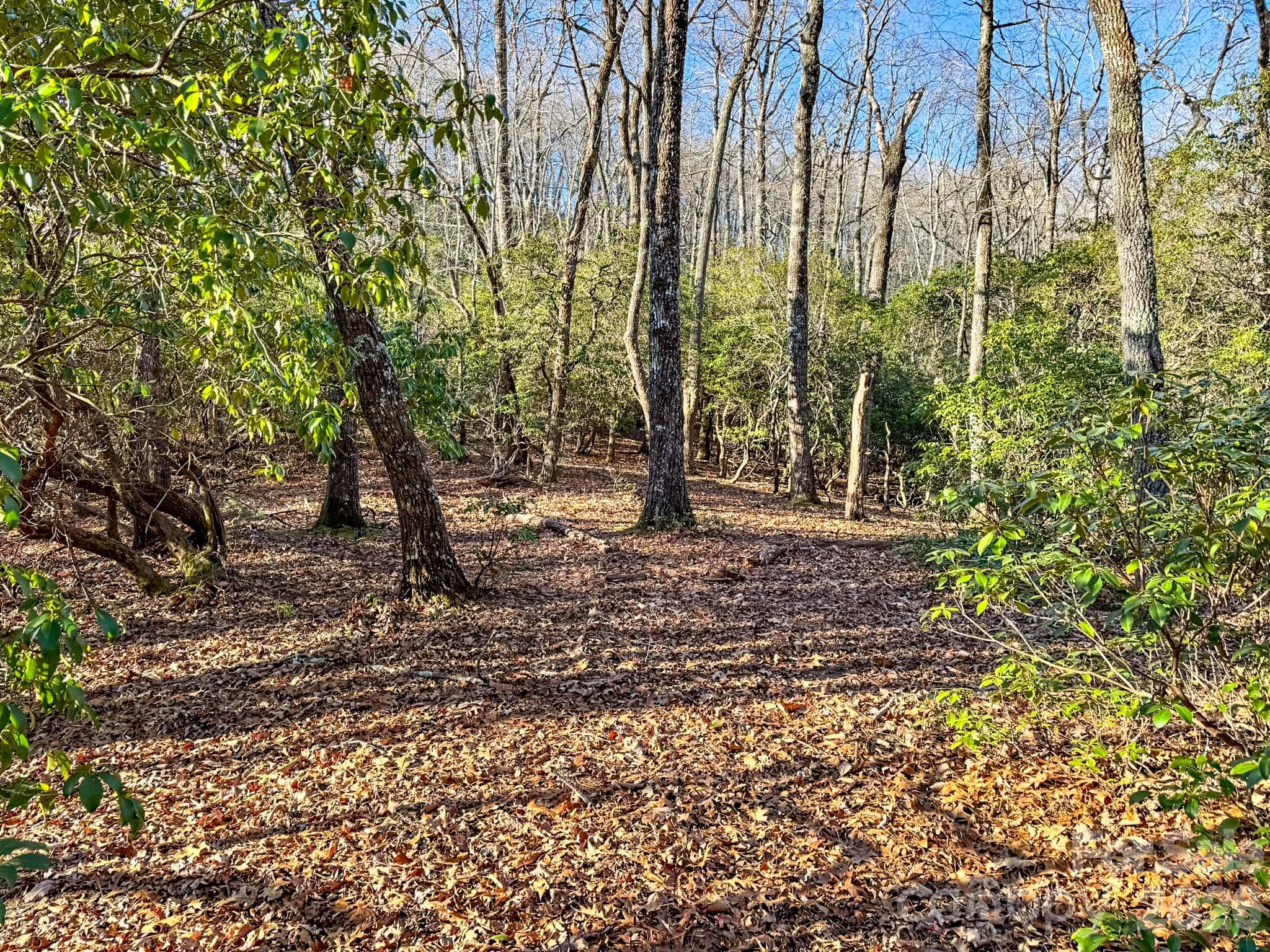 Lot at 1647 Mills River Way, Horse Shoe, photo 9 of 40