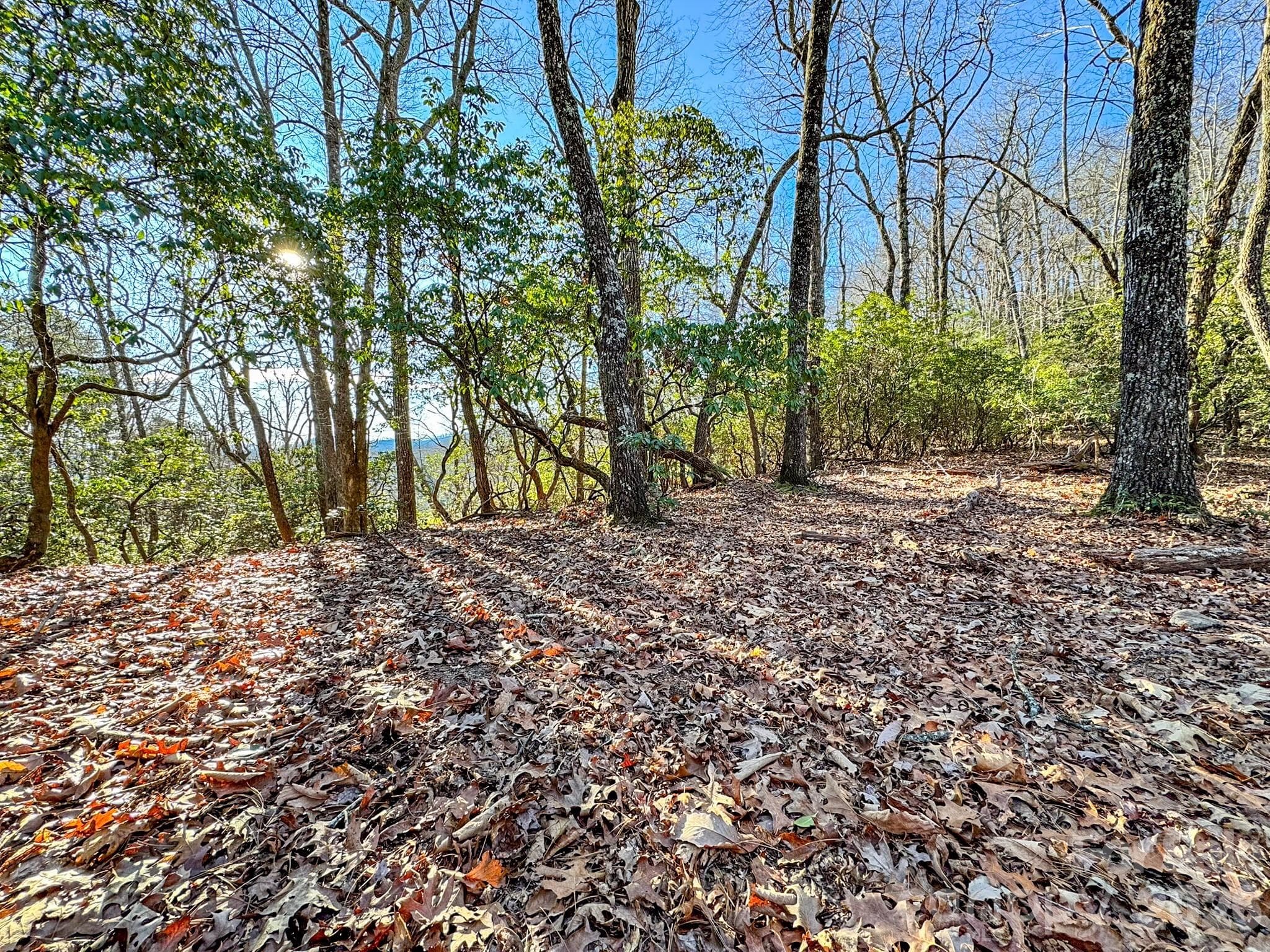 Lot at 1647 Mills River Way, Horse Shoe, photo 11 of 40
