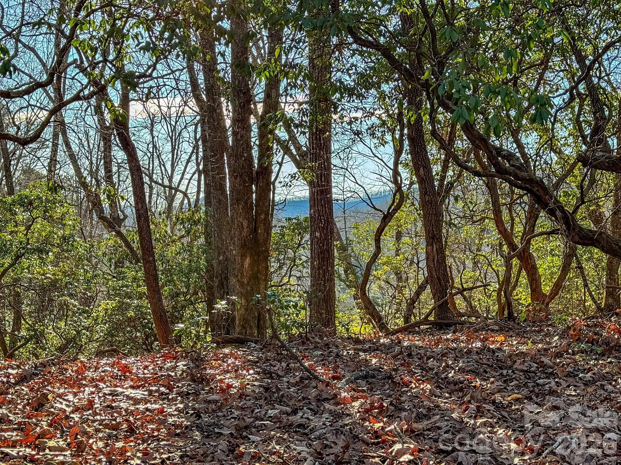 Lot at 1647 Mills River Way, Horse Shoe, photo 13 of 40