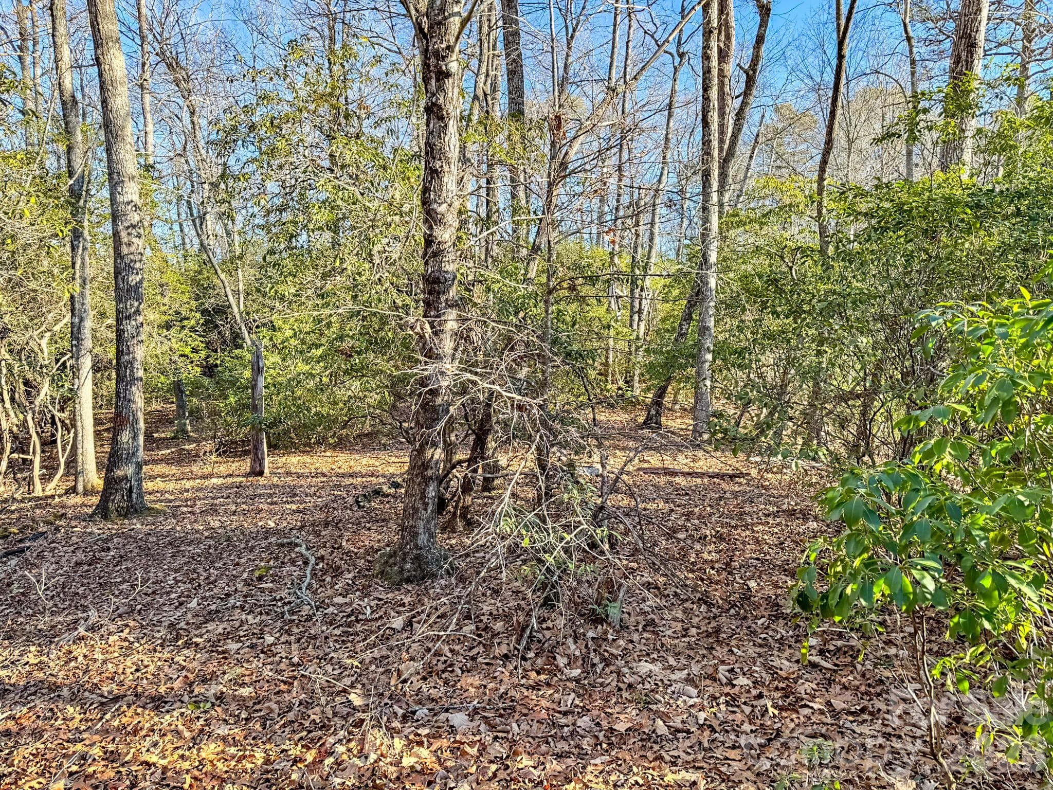 Lot at 1647 Mills River Way, Horse Shoe, photo 19 of 40