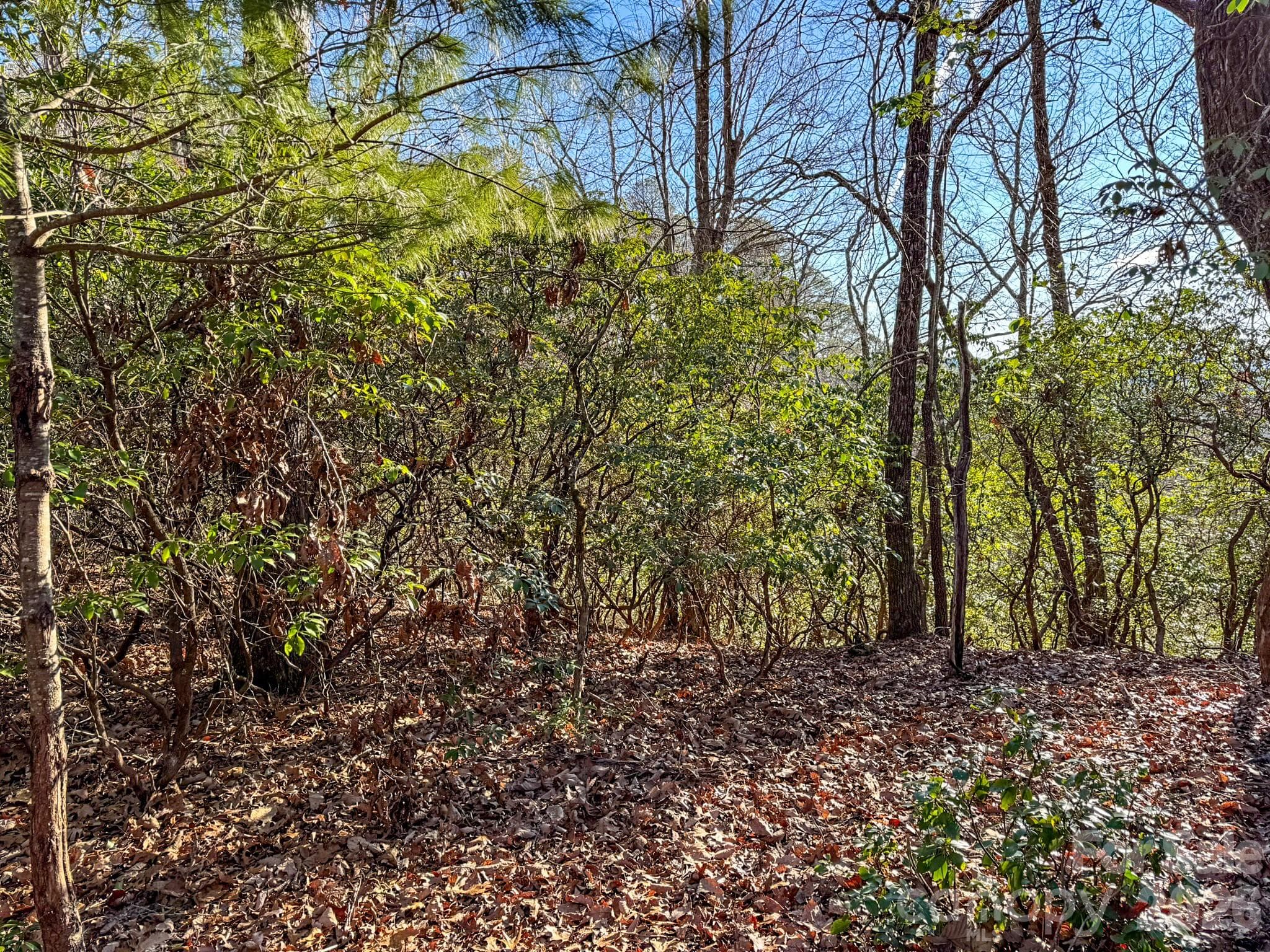 Lot at 1647 Mills River Way, Horse Shoe, photo 21 of 40