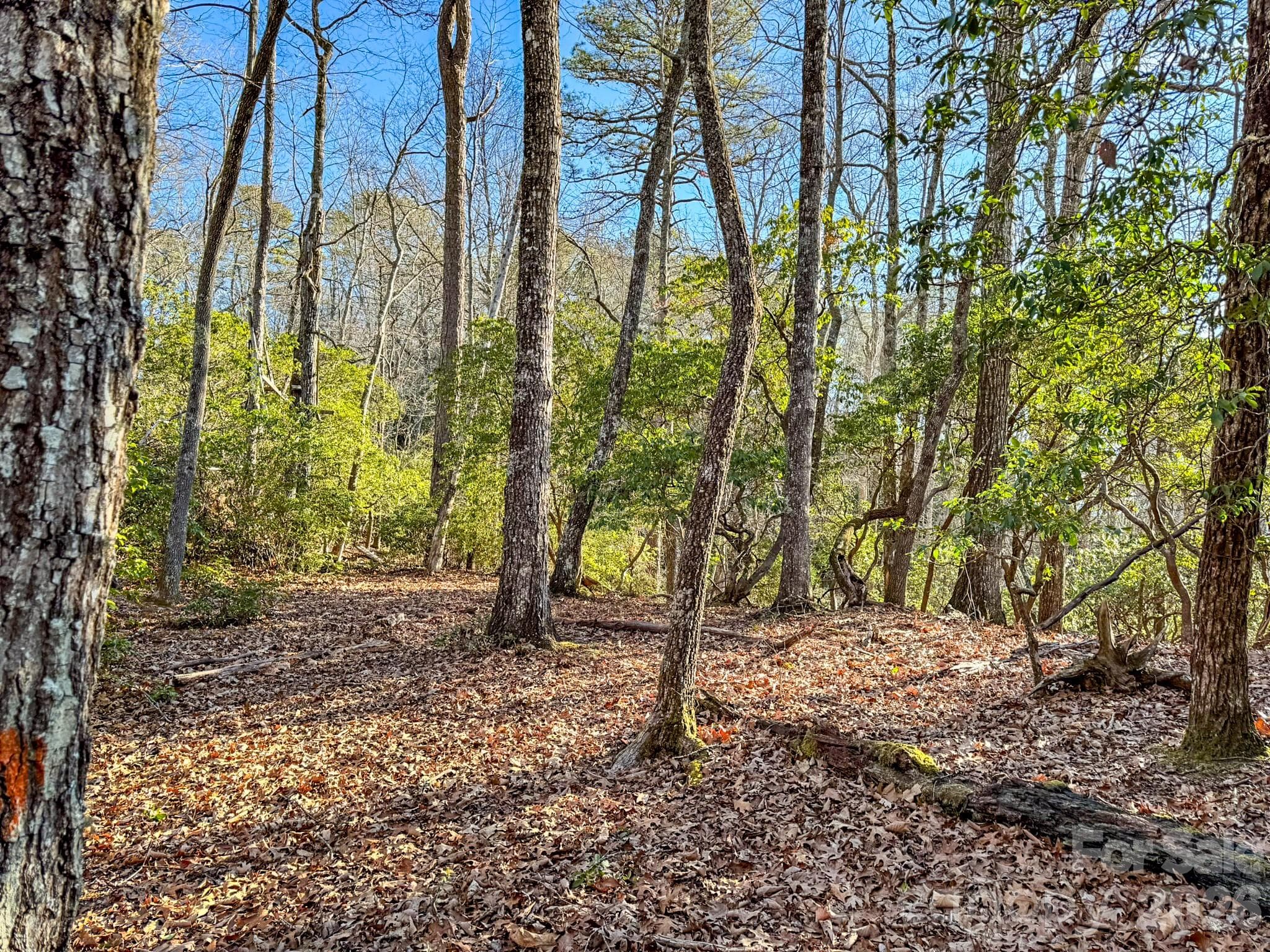 Lot at 1647 Mills River Way, Horse Shoe, photo 23 of 40