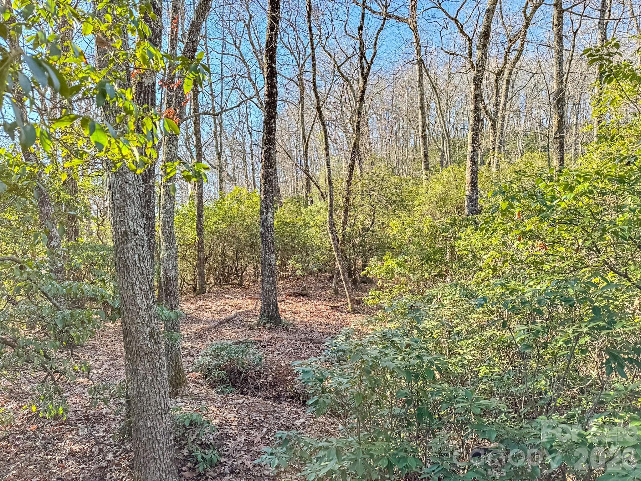 Lot at 1647 Mills River Way, Horse Shoe, photo 25 of 40