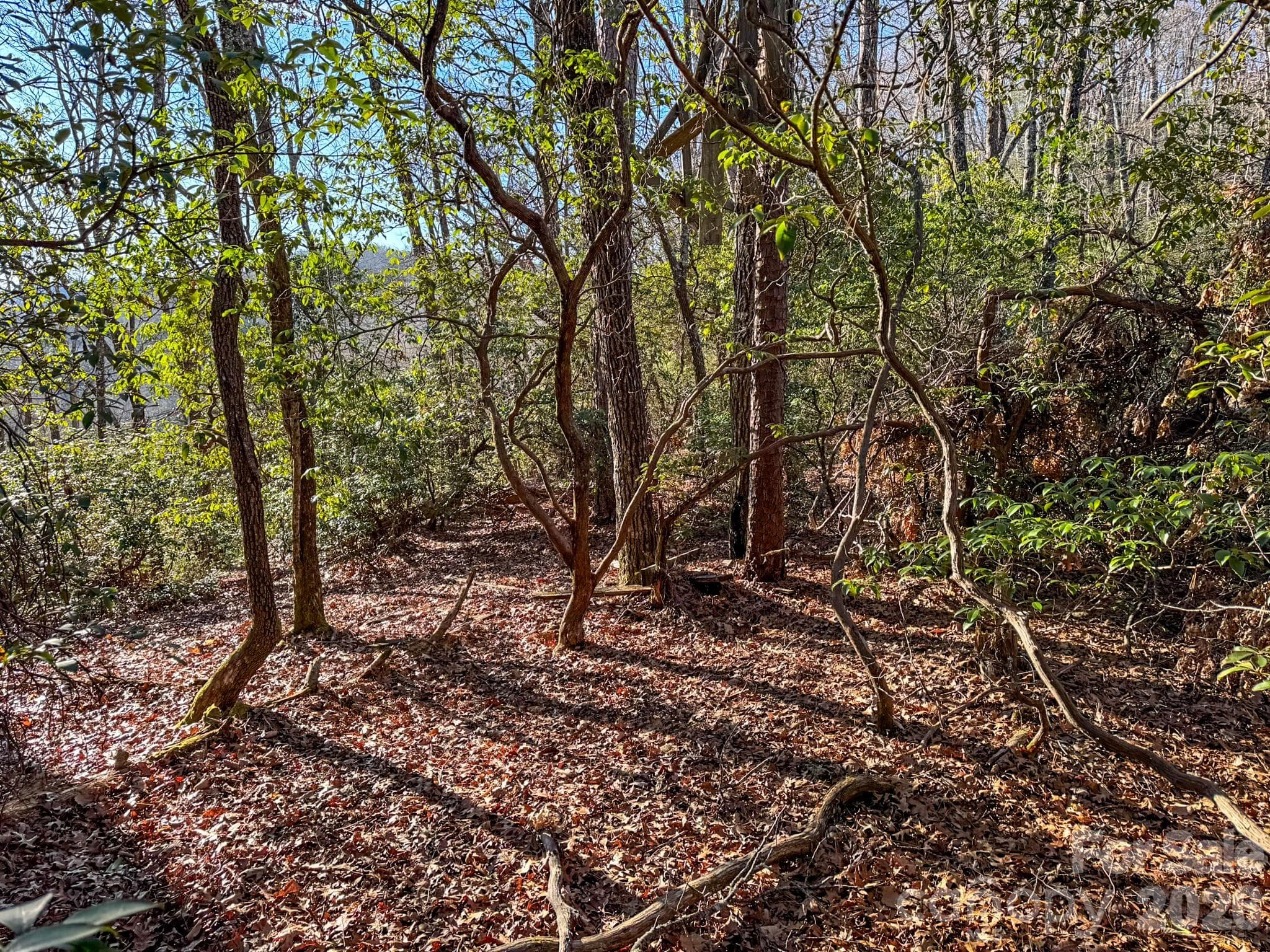 Lot at 1647 Mills River Way, Horse Shoe, photo 29 of 40