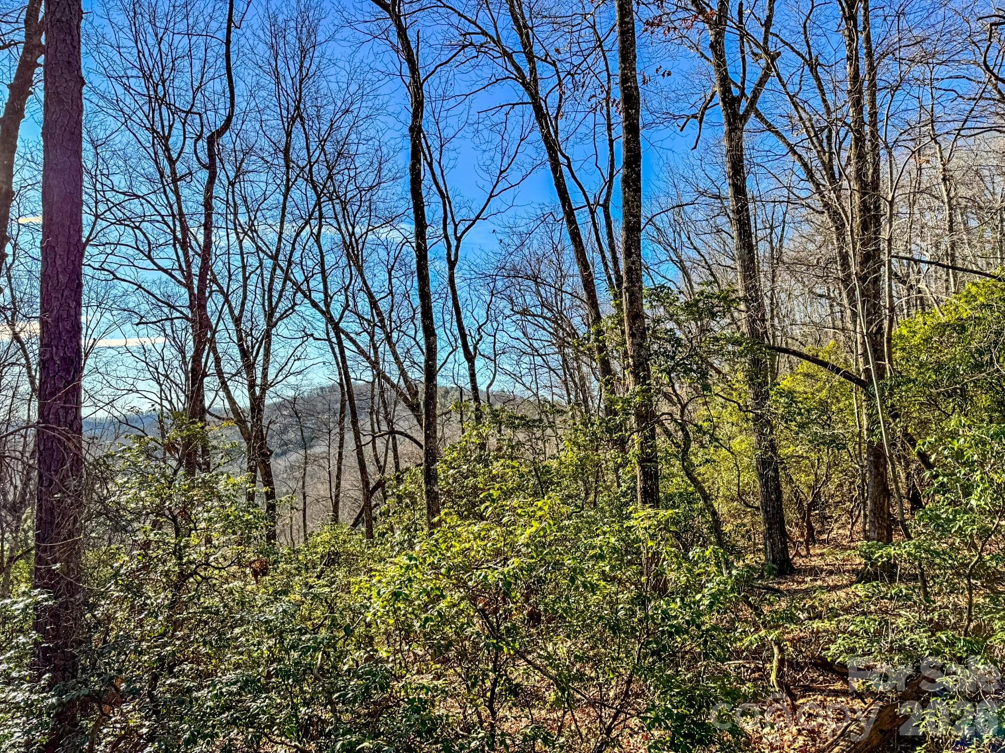 Lot at 1647 Mills River Way, Horse Shoe, photo 31 of 40