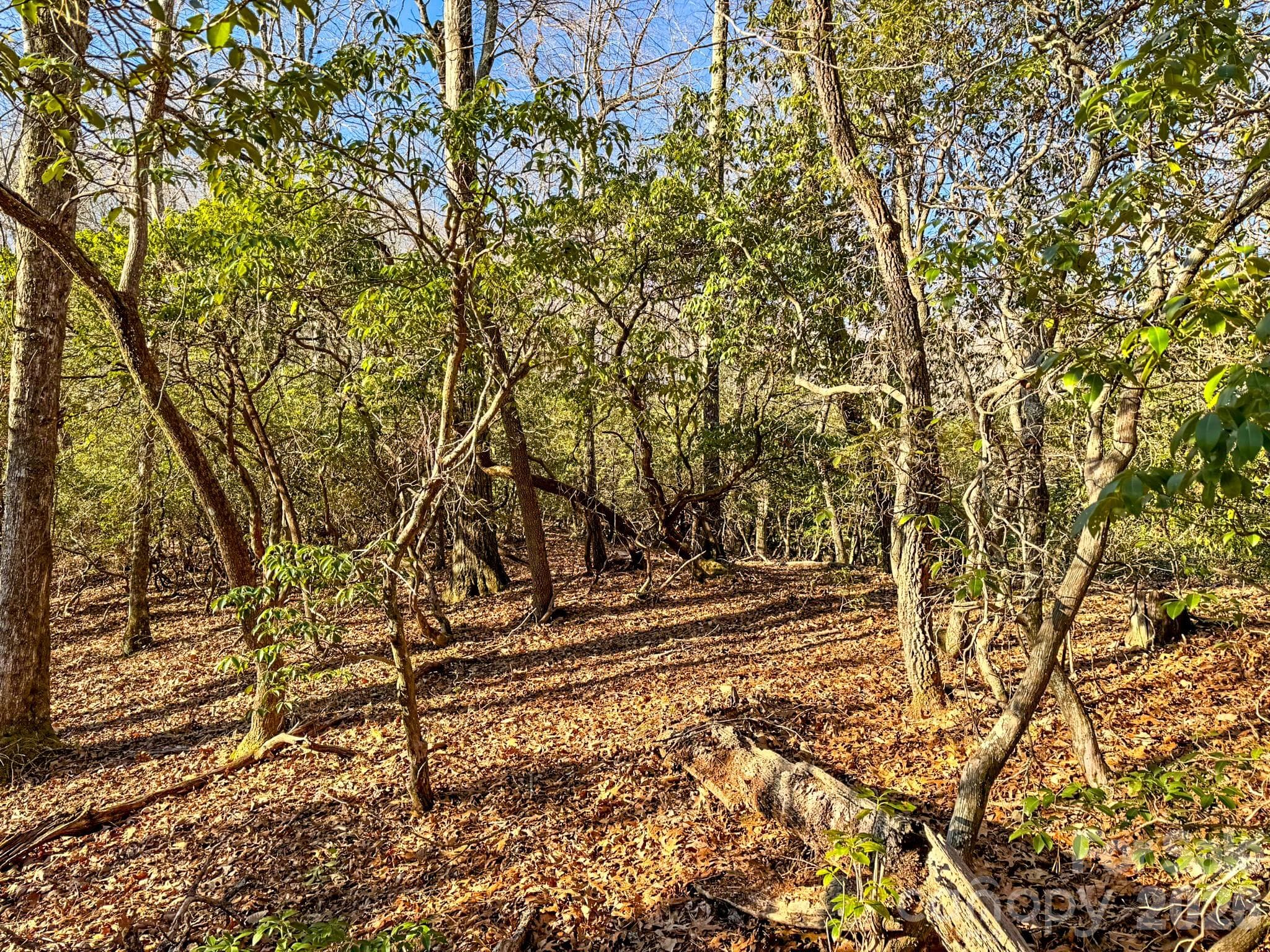 Lot at 1647 Mills River Way, Horse Shoe, photo 32 of 40
