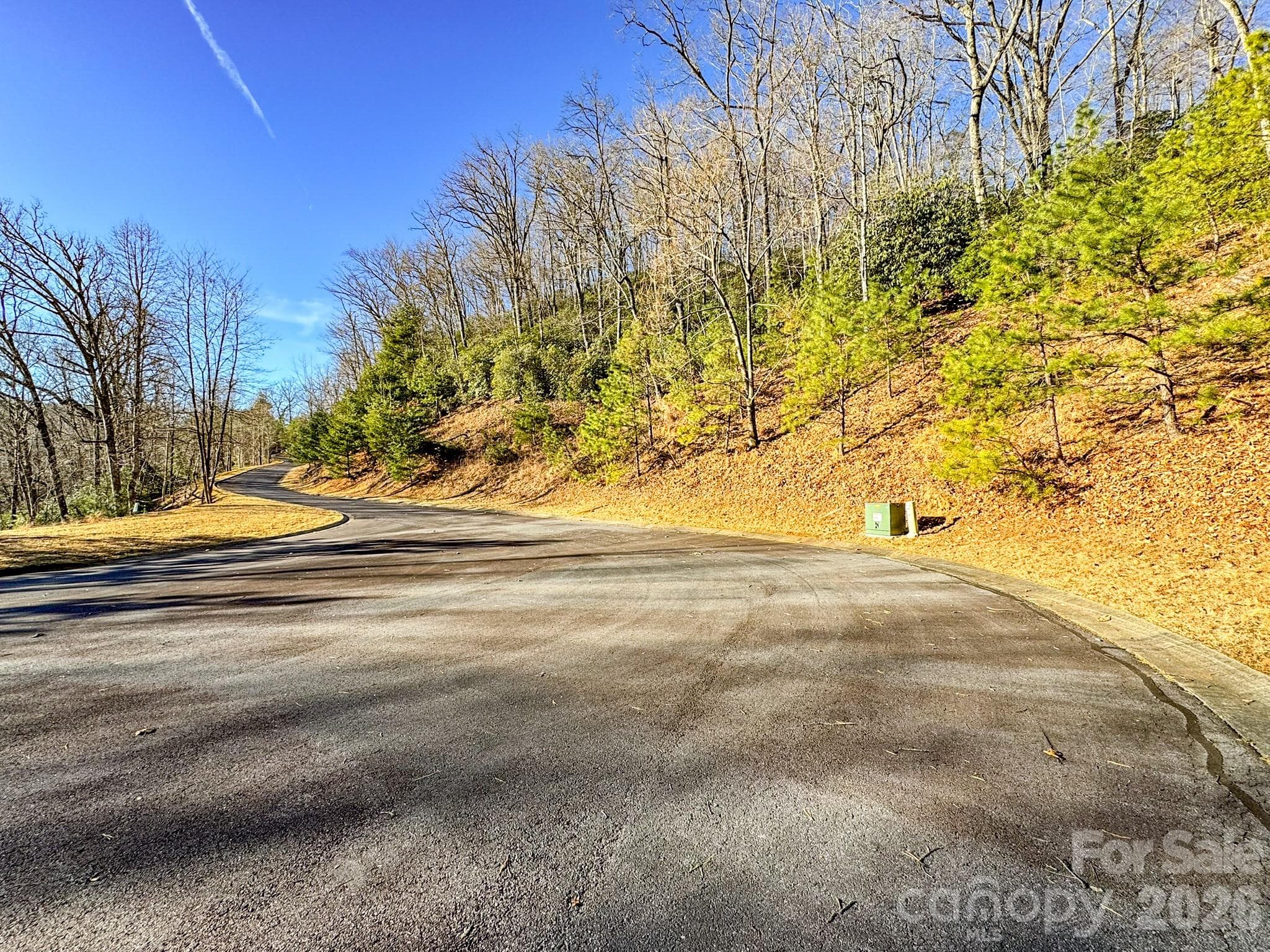 Lot at 1647 Mills River Way, Horse Shoe, photo 28 of 40
