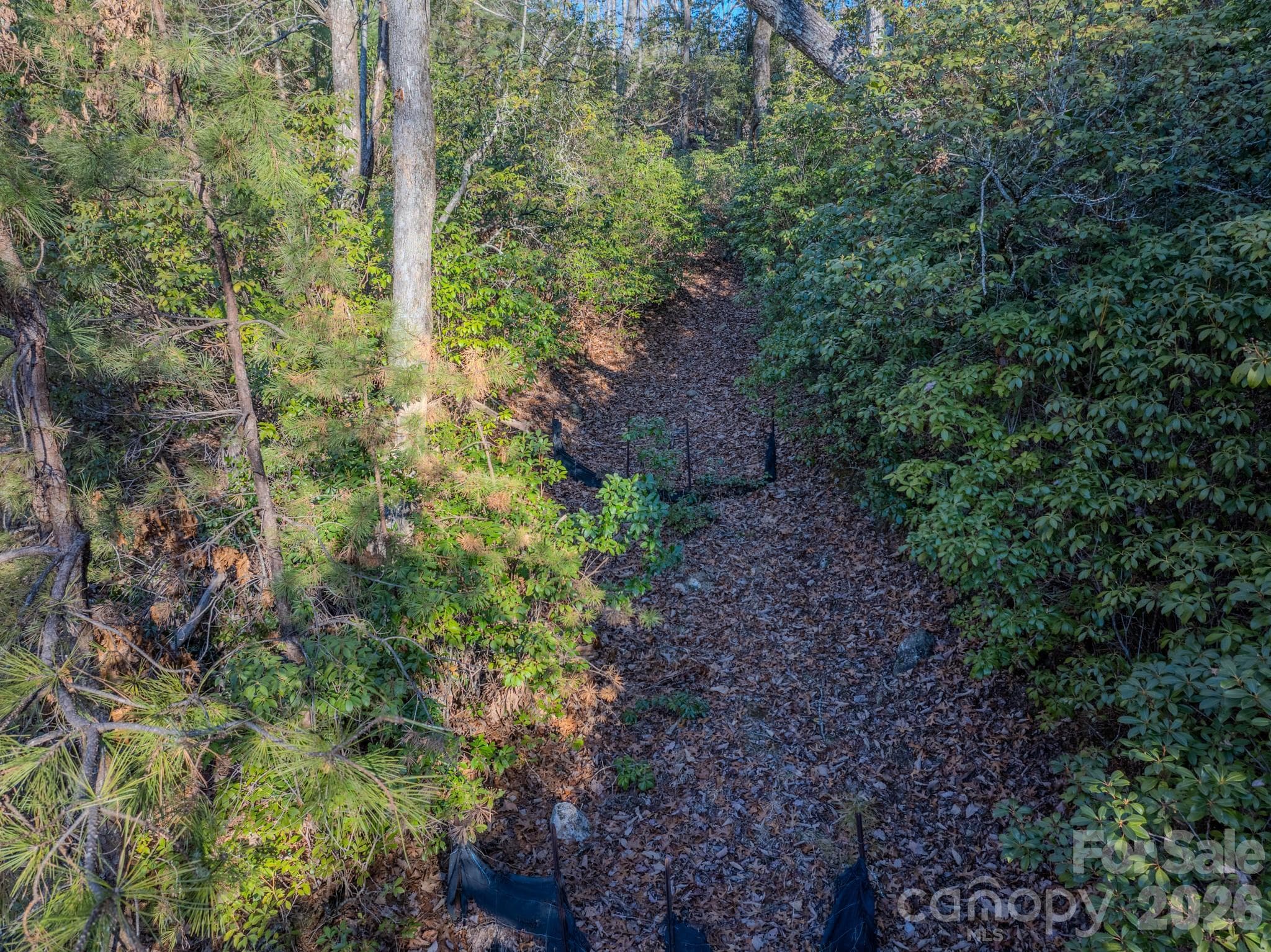 Lot at 1647 Mills River Way, Horse Shoe, photo 33 of 40