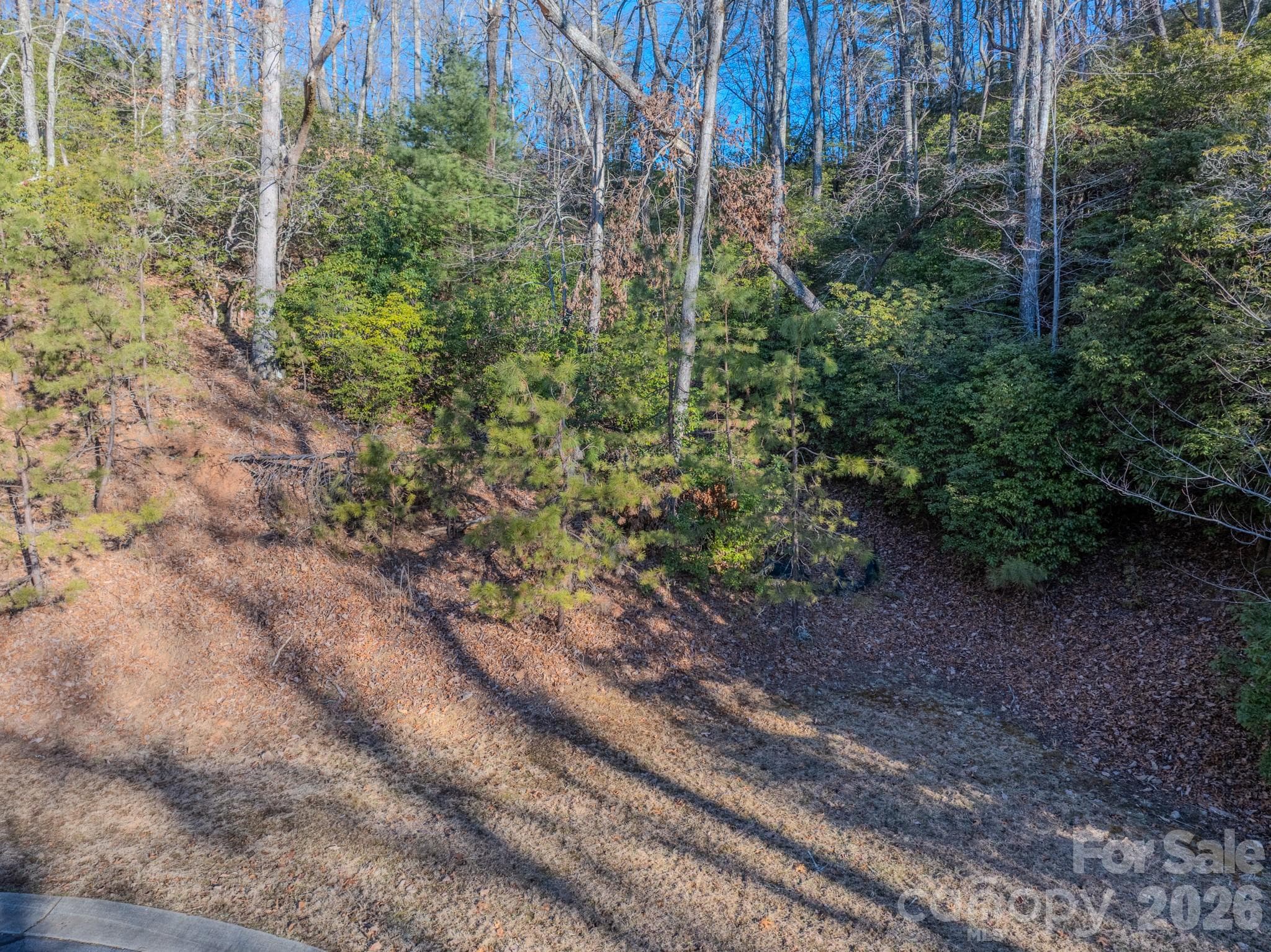 Lot at 1647 Mills River Way, Horse Shoe, photo 34 of 40