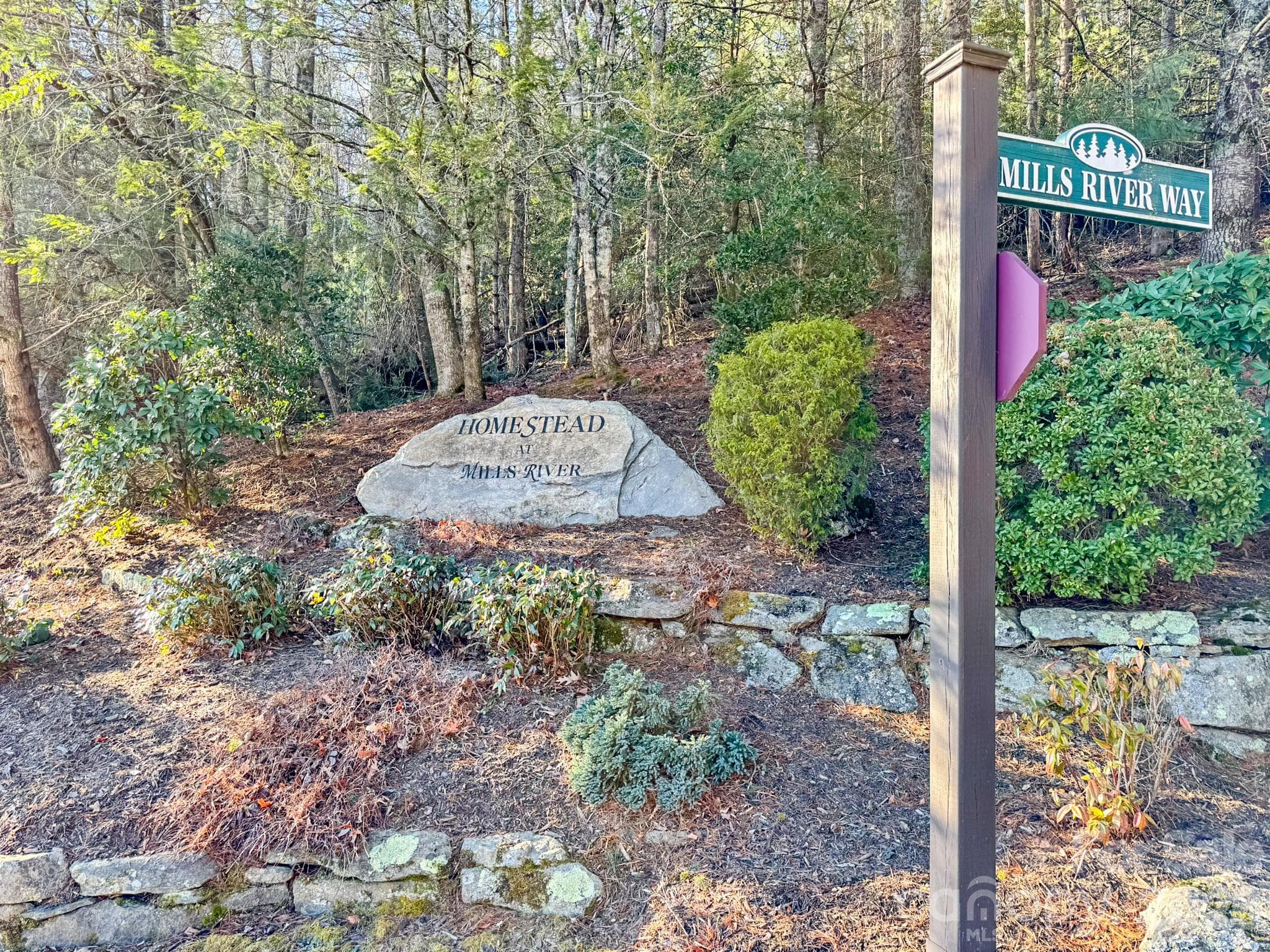 Lot at 1647 Mills River Way, Horse Shoe, photo 37 of 40