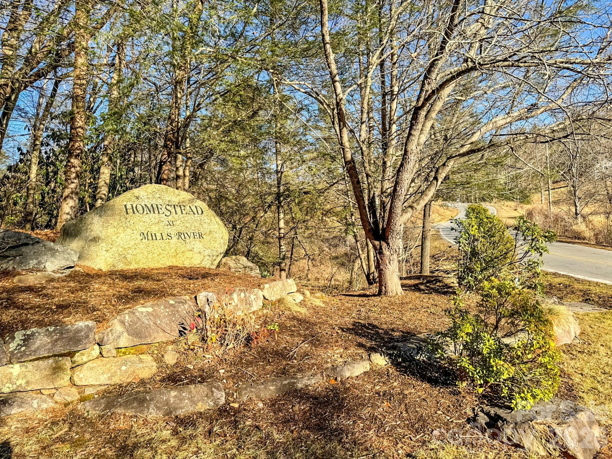 Lot at 1647 Mills River Way, Horse Shoe, photo 38 of 40