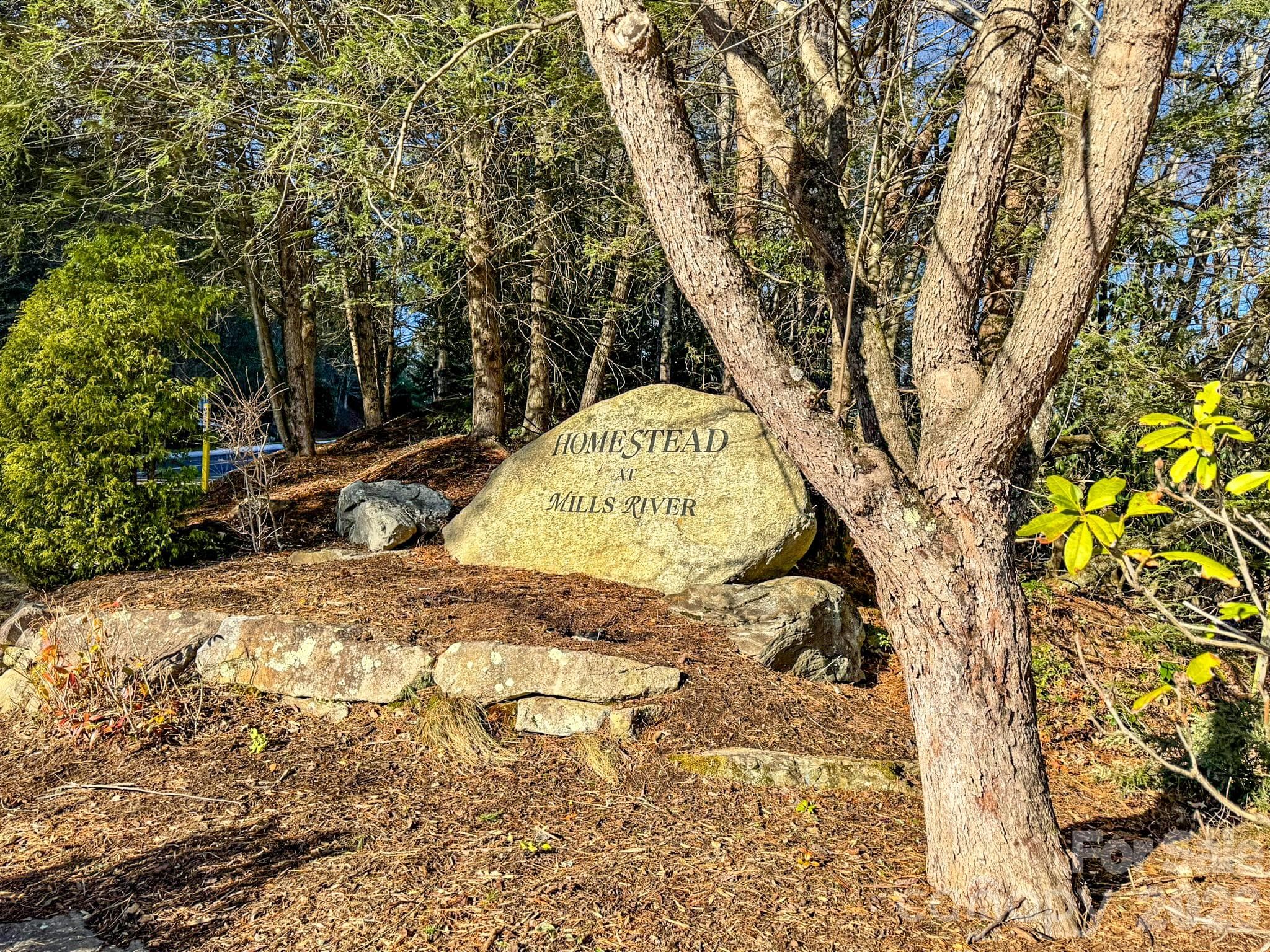 Lot at 1647 Mills River Way, Horse Shoe, photo 39 of 40