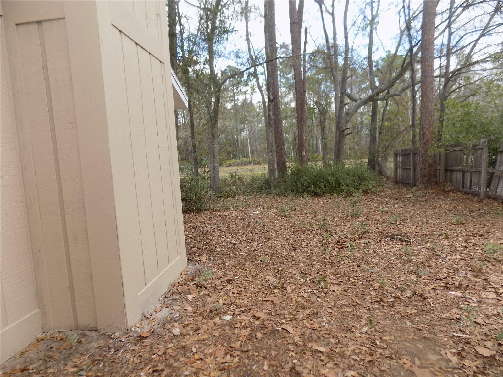 Right side yard - 4408 NW 44 PL NW, GAINESVILLE