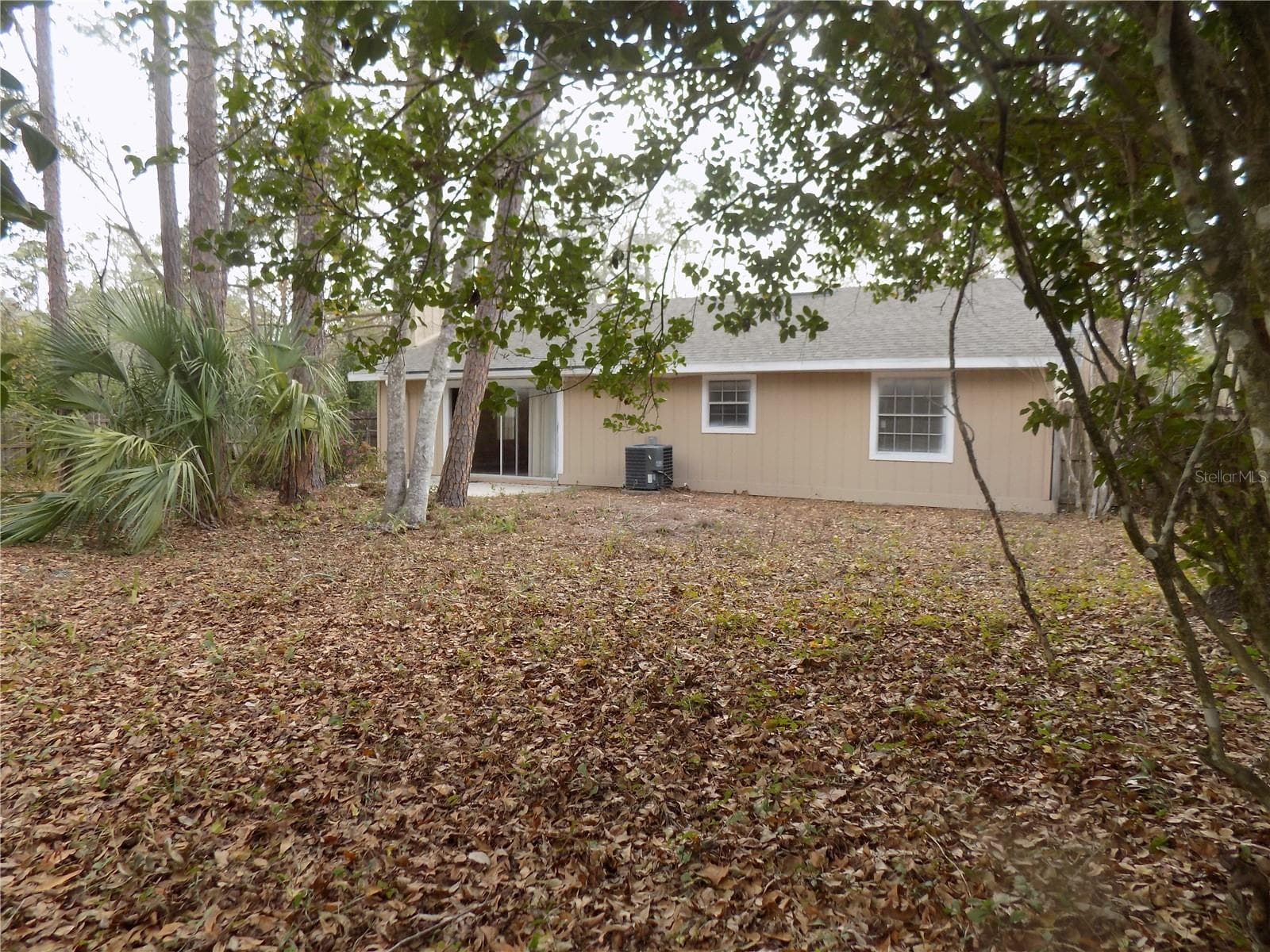 Back yard towards house - 4408 NW 44 PL NW, GAINESVILLE