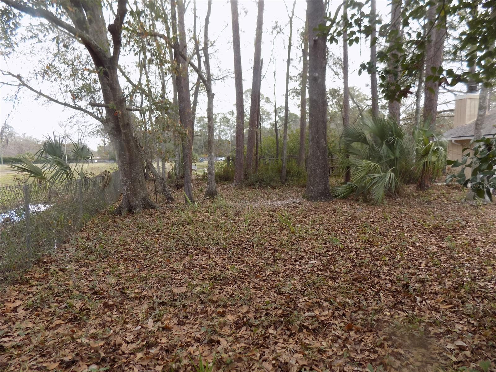 Back yard - 4408 NW 44 PL NW, GAINESVILLE