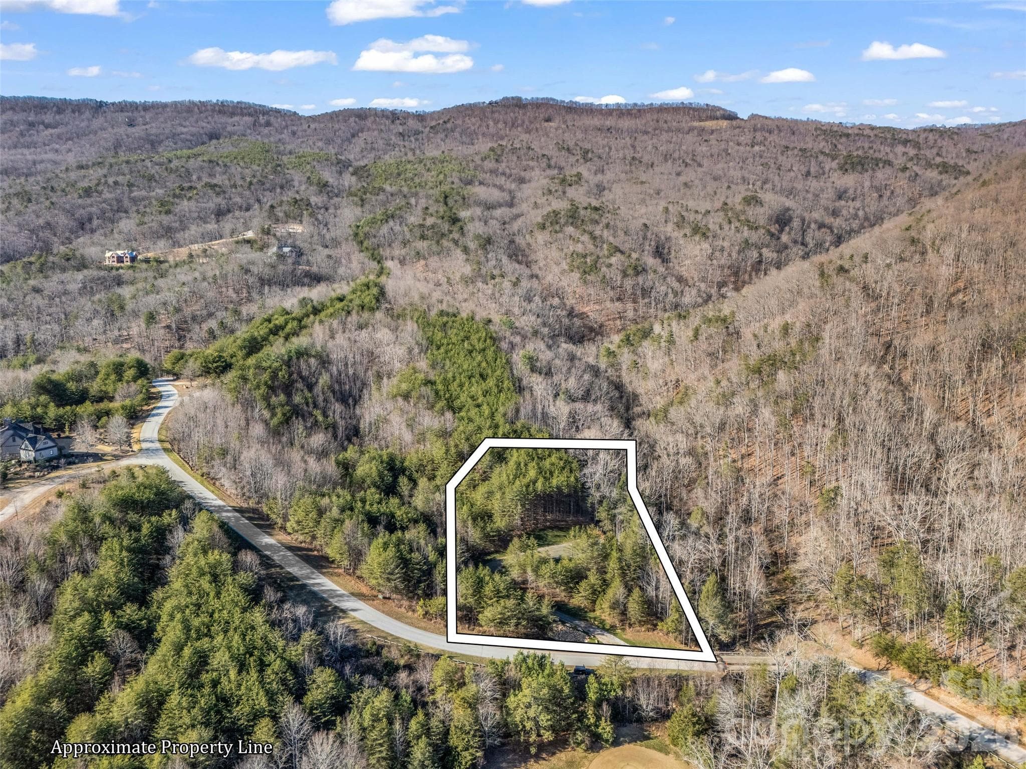 Lot at 61 Deep Gap Farm Road E, Mill Spring, photo 4 of 36