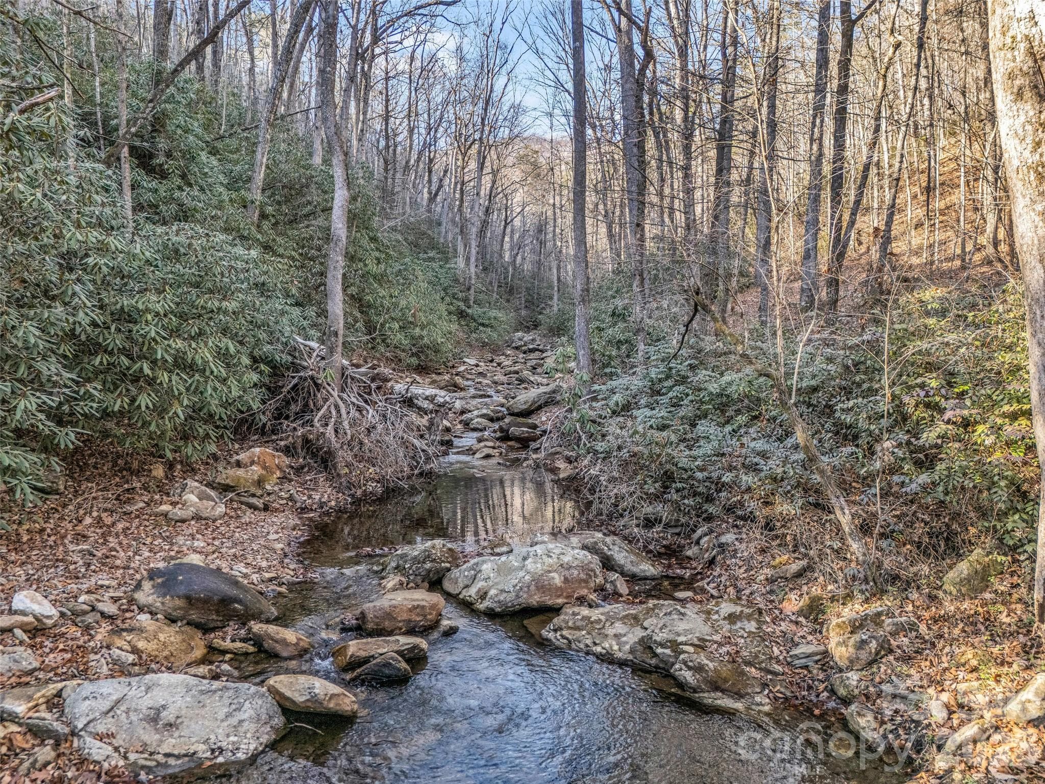 Lot at 61 Deep Gap Farm Road E, Mill Spring, photo 14 of 36