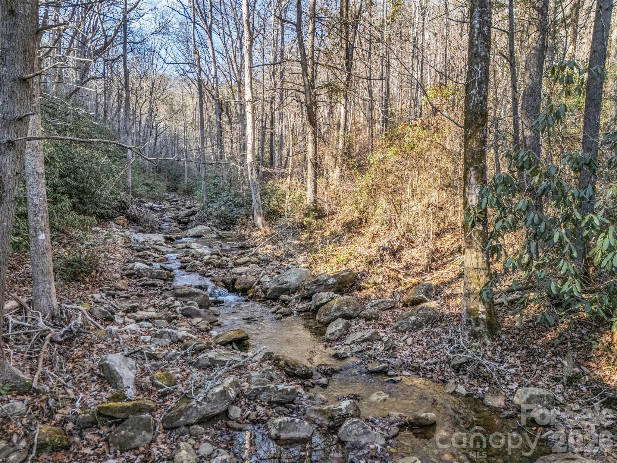 Lot at 61 Deep Gap Farm Road E, Mill Spring, photo 16 of 36