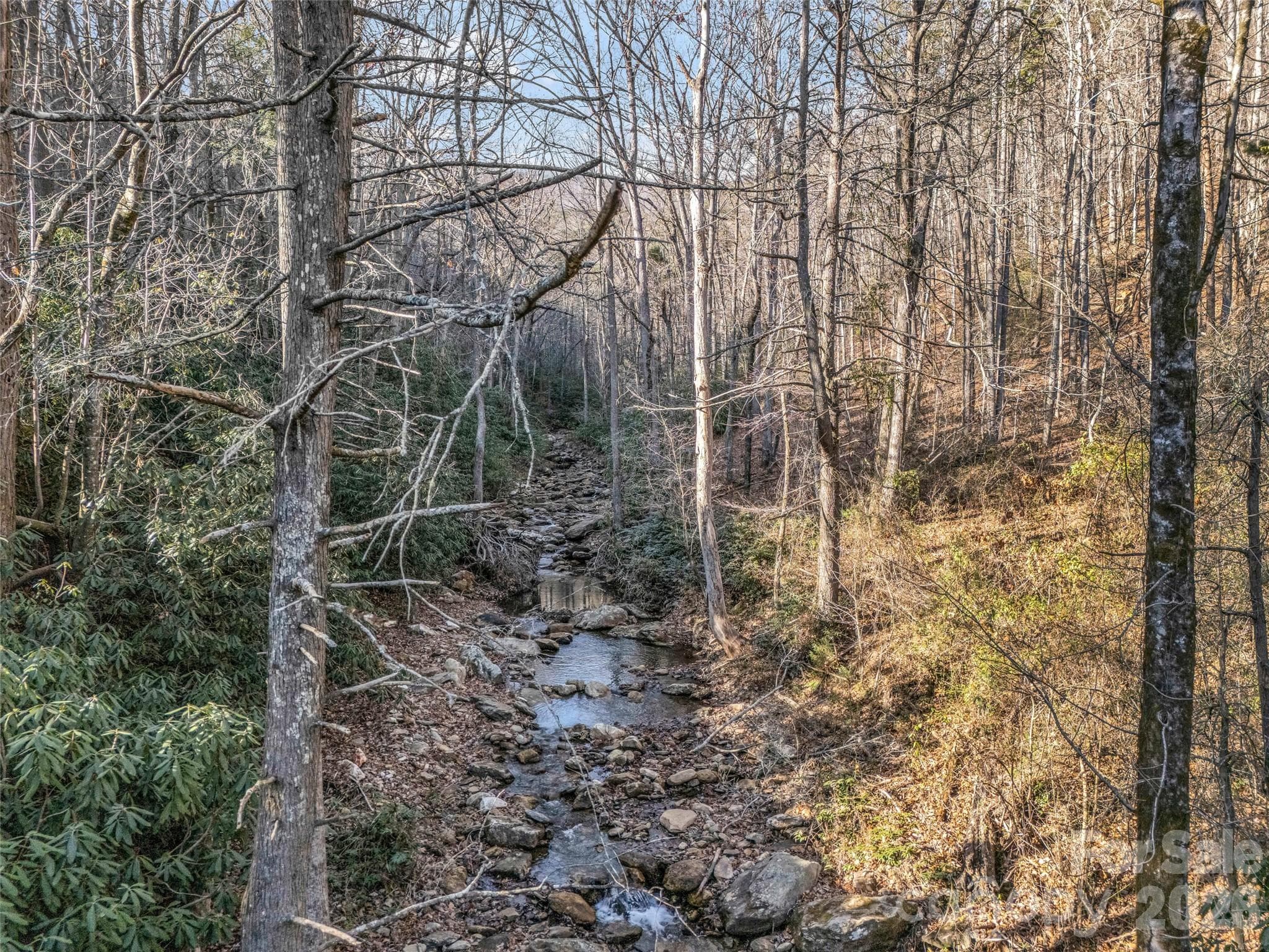 Lot at 61 Deep Gap Farm Road E, Mill Spring, photo 17 of 36
