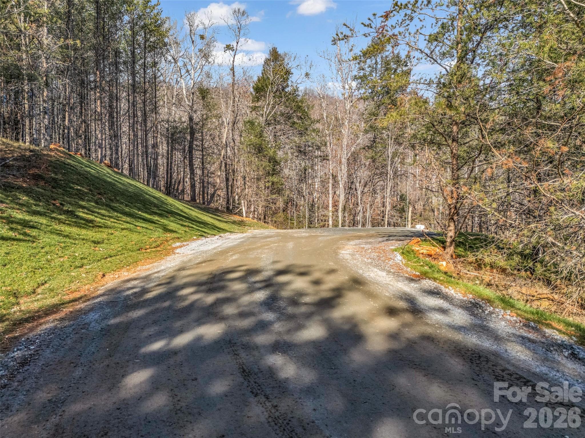 Lot at 61 Deep Gap Farm Road E, Mill Spring, photo 21 of 36