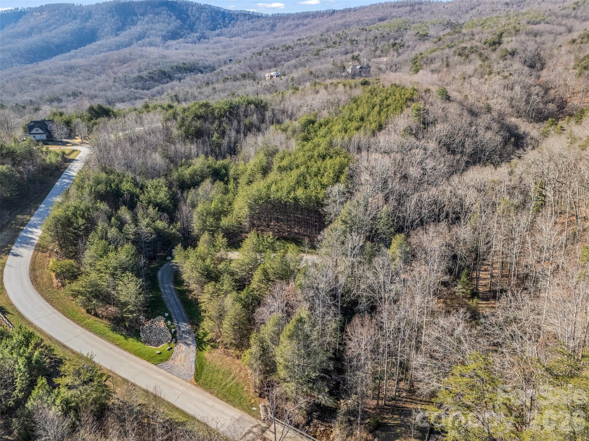 Driveway into homesite - 61 Deep Gap Farm Road E, Mill Spring