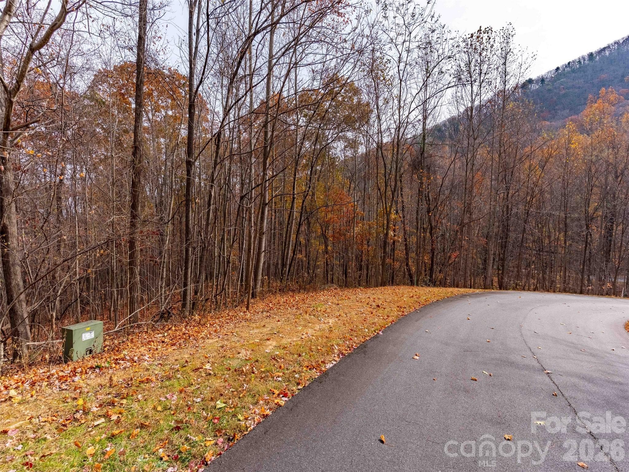 Lot at Mill Spring, photo 7 of 18
