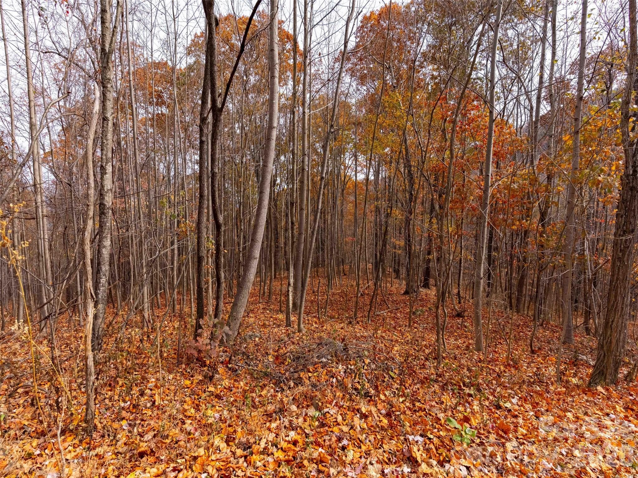 Lot at Mill Spring, photo 8 of 18