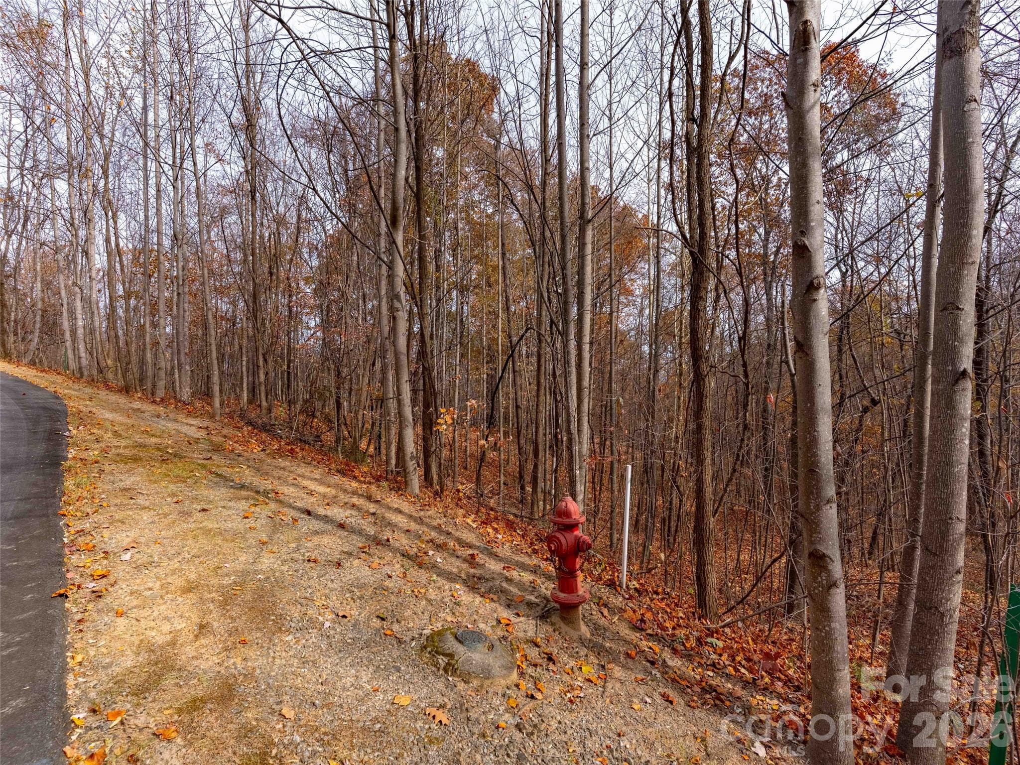 Lot at Mill Spring, photo 9 of 18