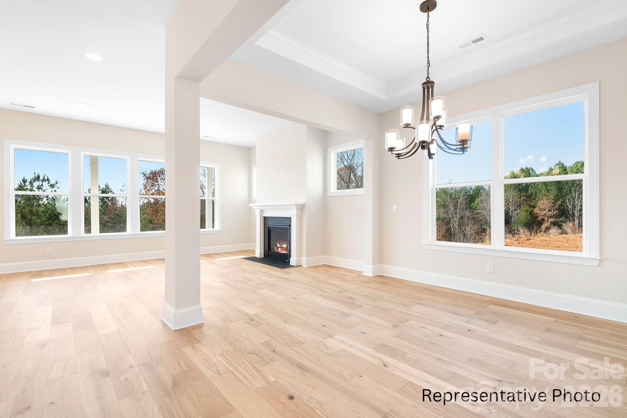 Single Family Residence at 4172 Millstream Road, Denver, photo 11 of 32