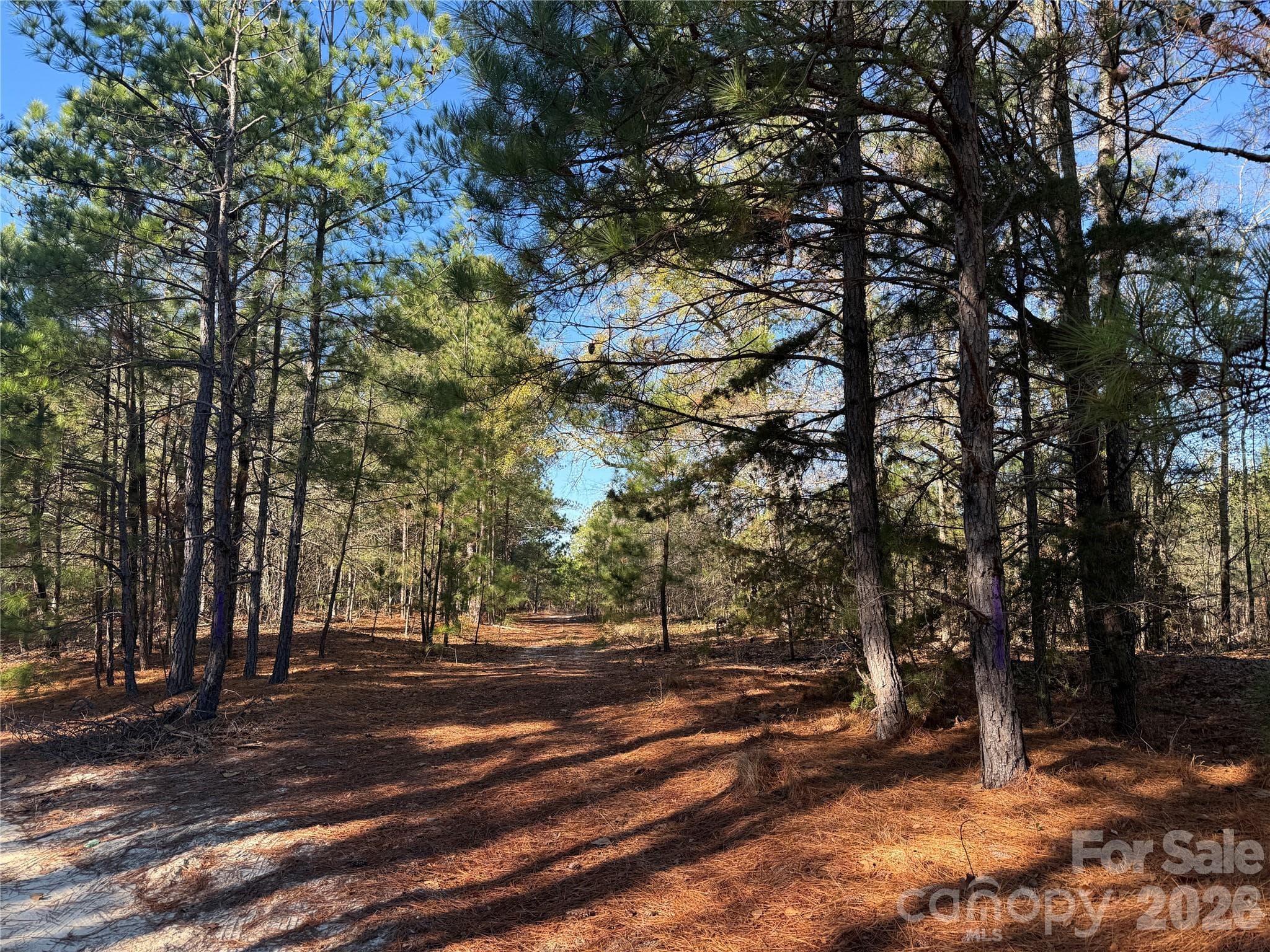 perimeter trail entrance - 164 Haines Road, Jackson Springs