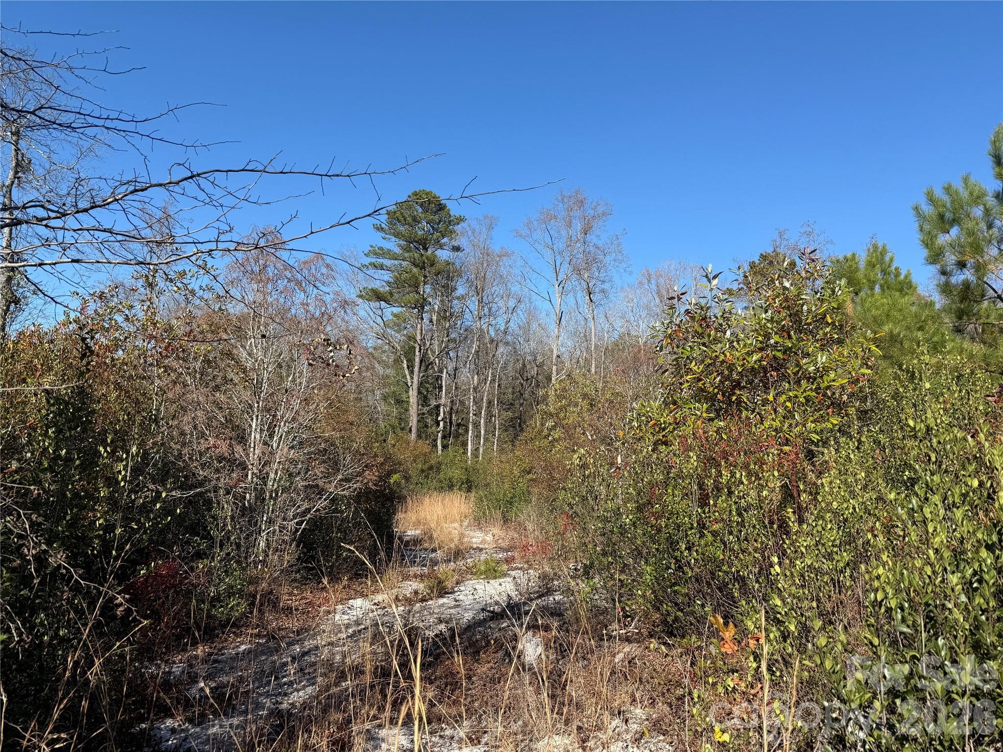 perimeter trail - 164 Haines Road, Jackson Springs