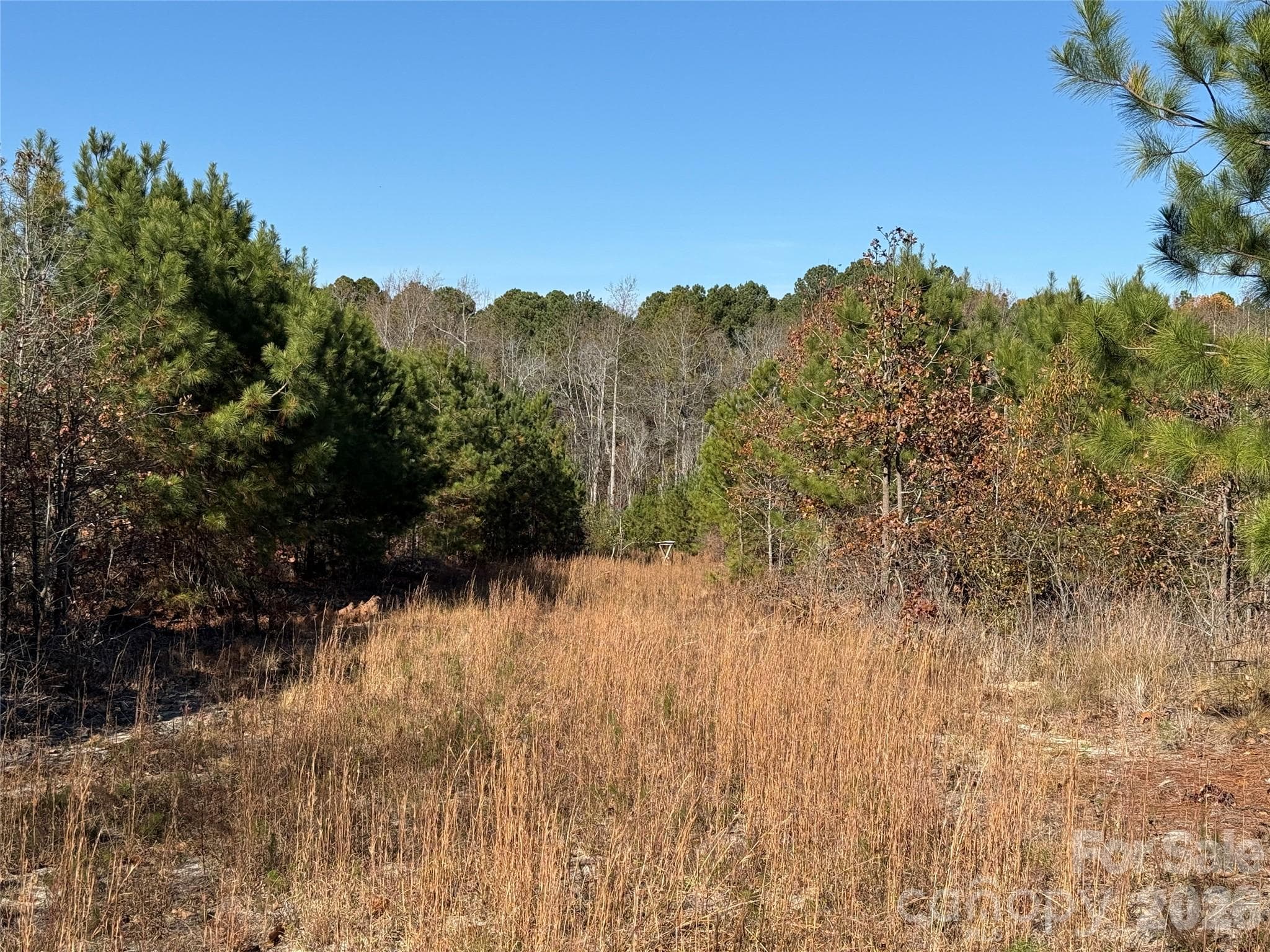 hunting plot - 164 Haines Road, Jackson Springs
