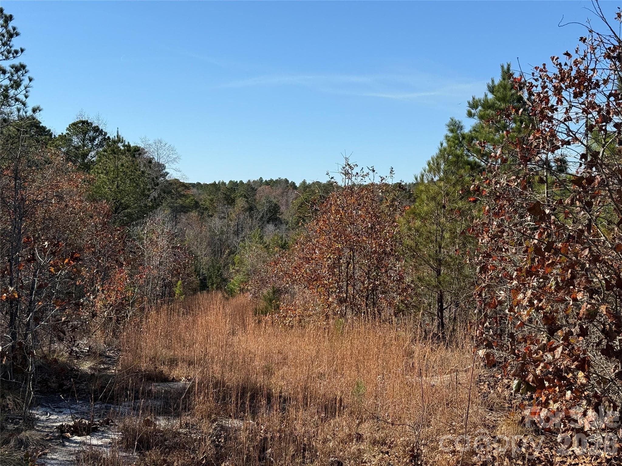 hunting plot - 164 Haines Road, Jackson Springs
