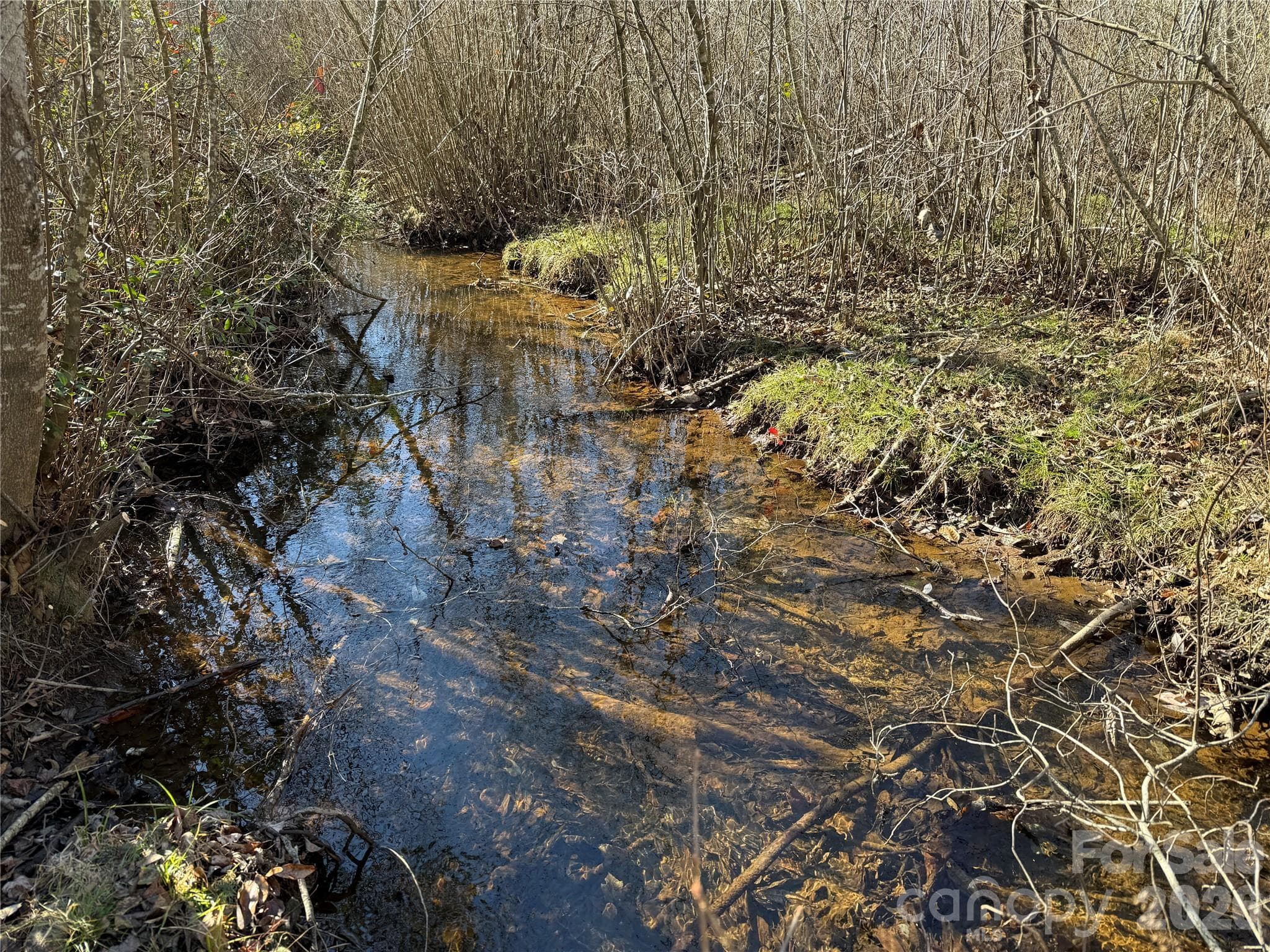 Naked Creek - 164 Haines Road, Jackson Springs
