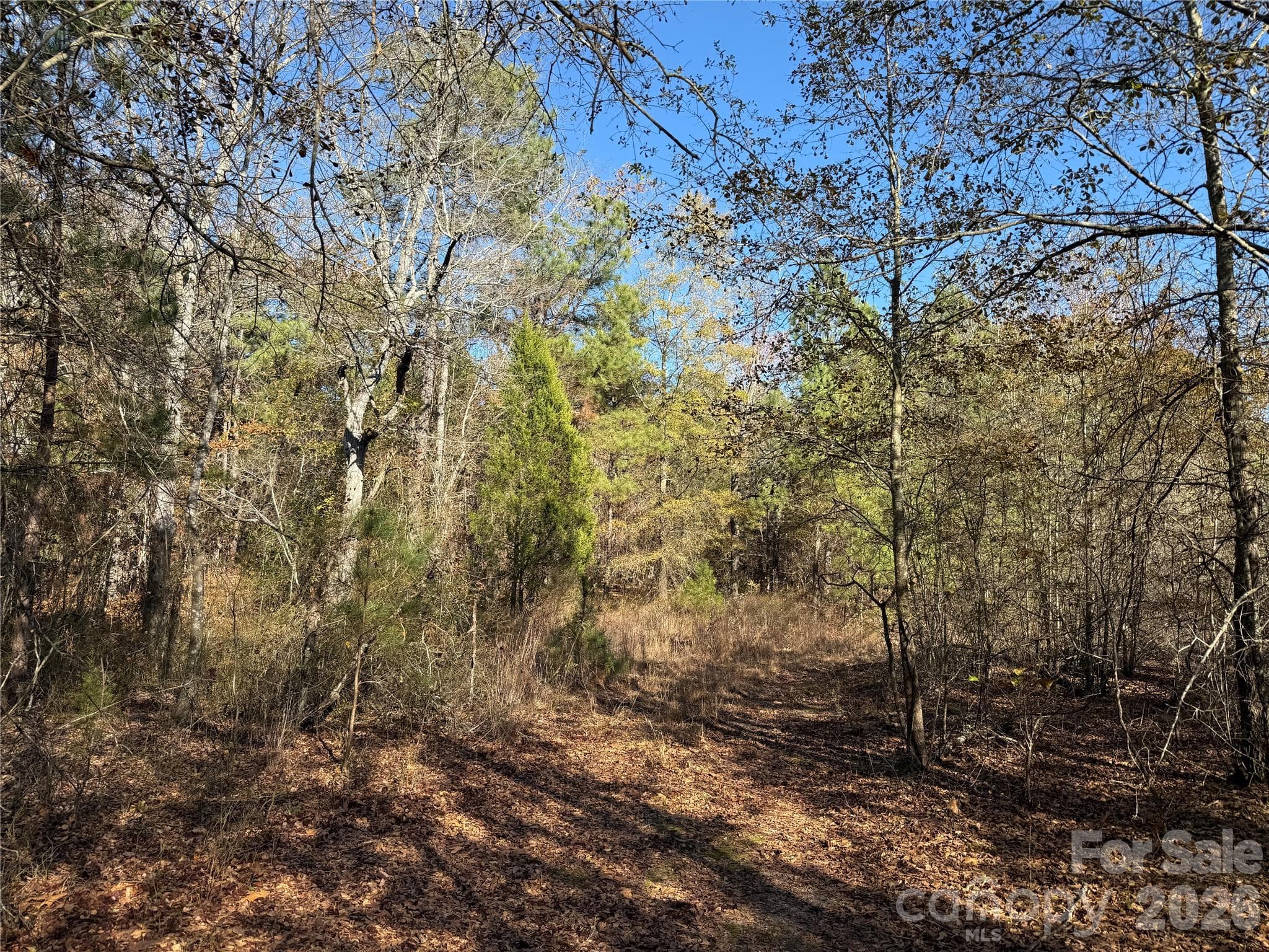 perimeter trail - 164 Haines Road, Jackson Springs