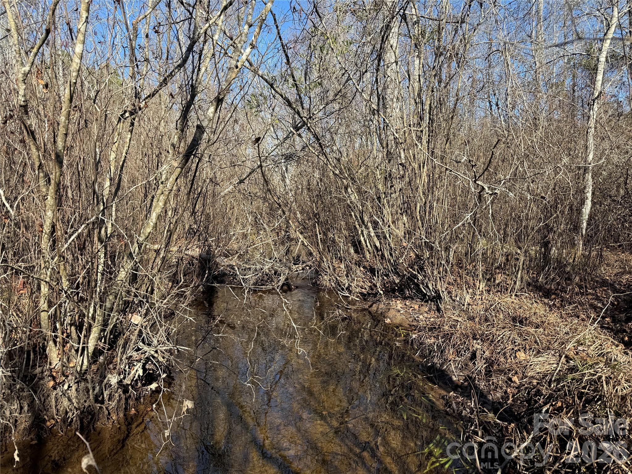 Naked Creek - 164 Haines Road, Jackson Springs