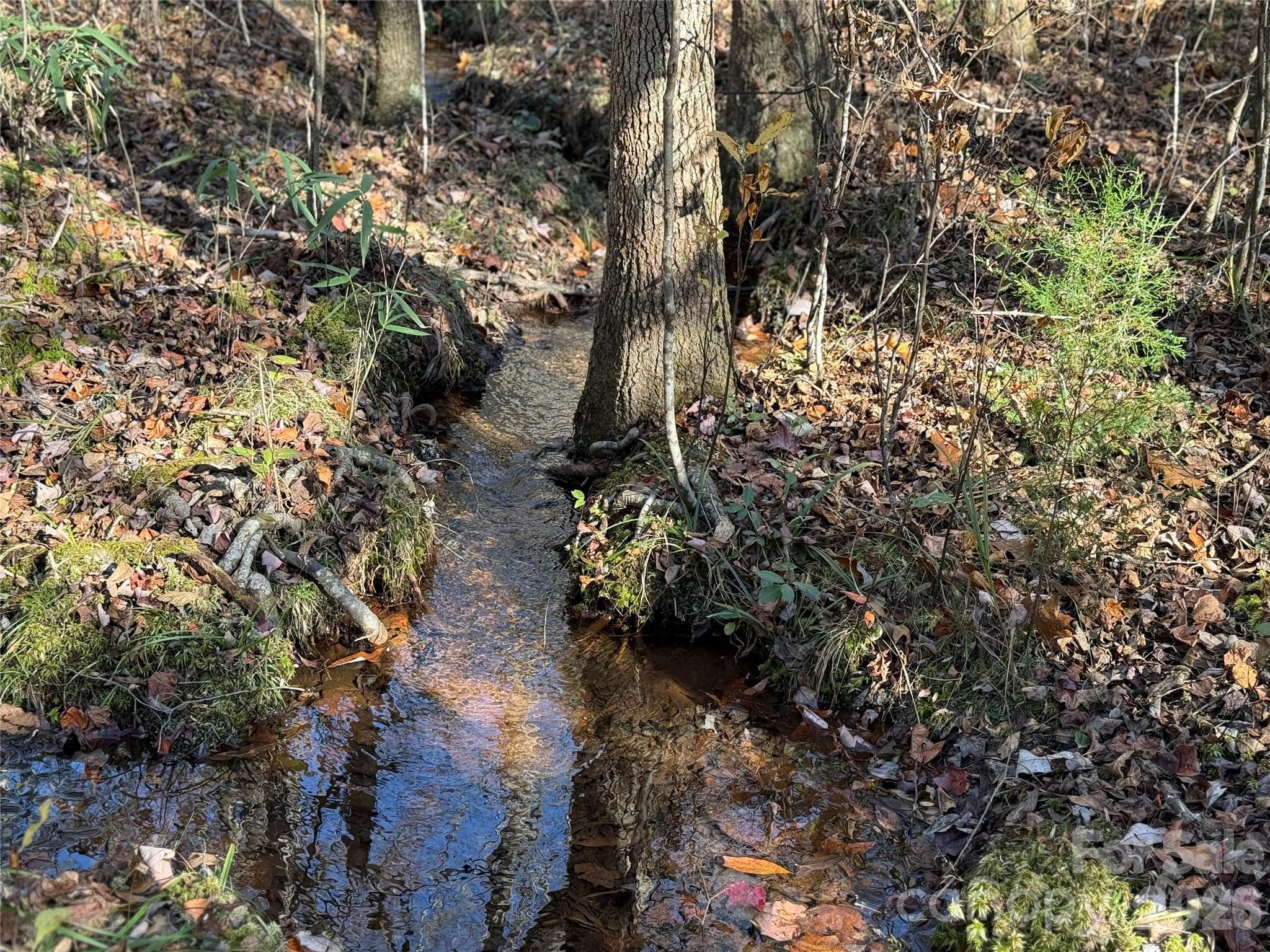 stream bordering property - 164 Haines Road, Jackson Springs