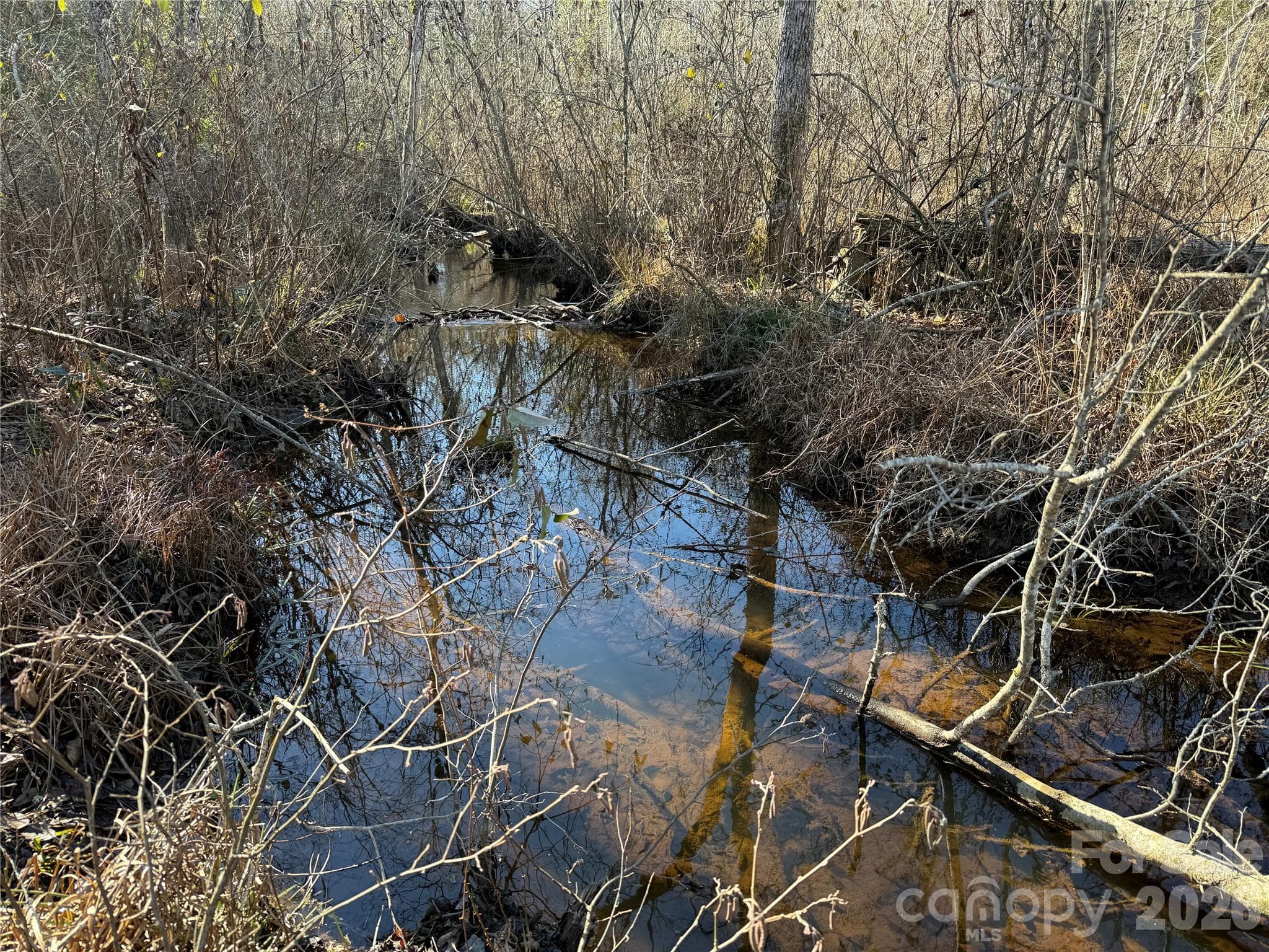 Naked Creek - 164 Haines Road, Jackson Springs