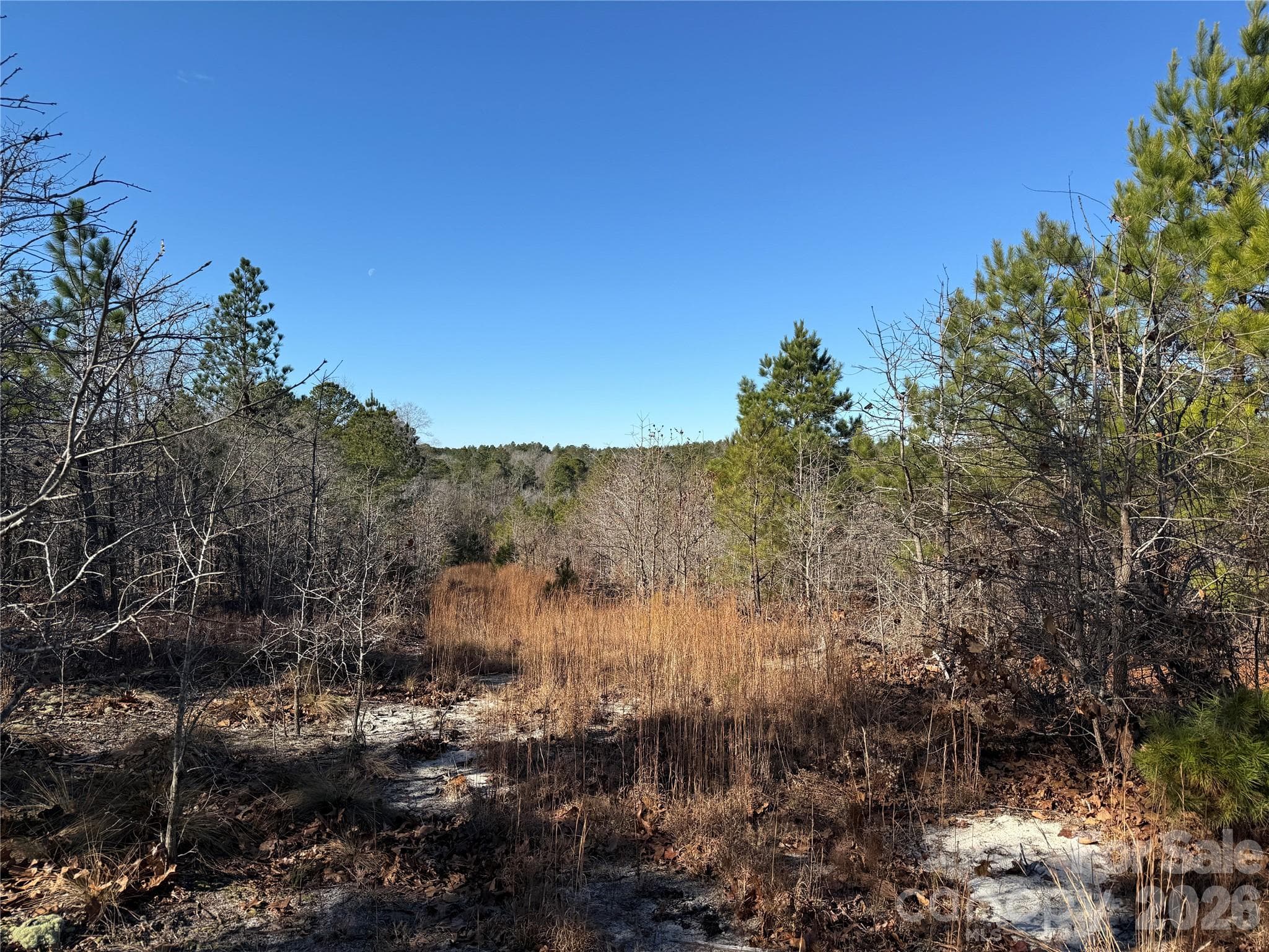 trail view - 164 Haines Road, Jackson Springs