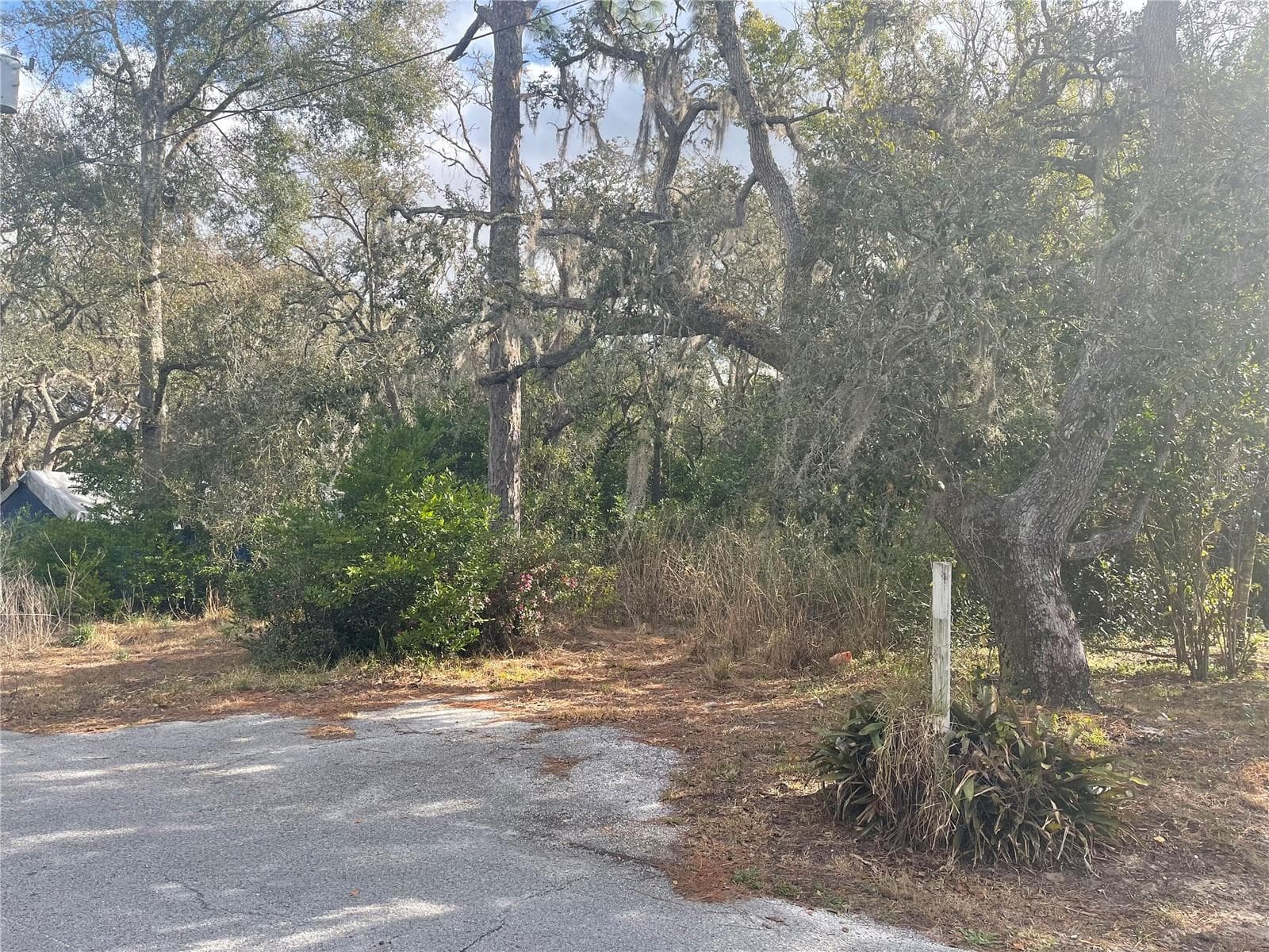 Land at 10024 OANA ST, NEW PORT RICHEY, photo 2 of 4