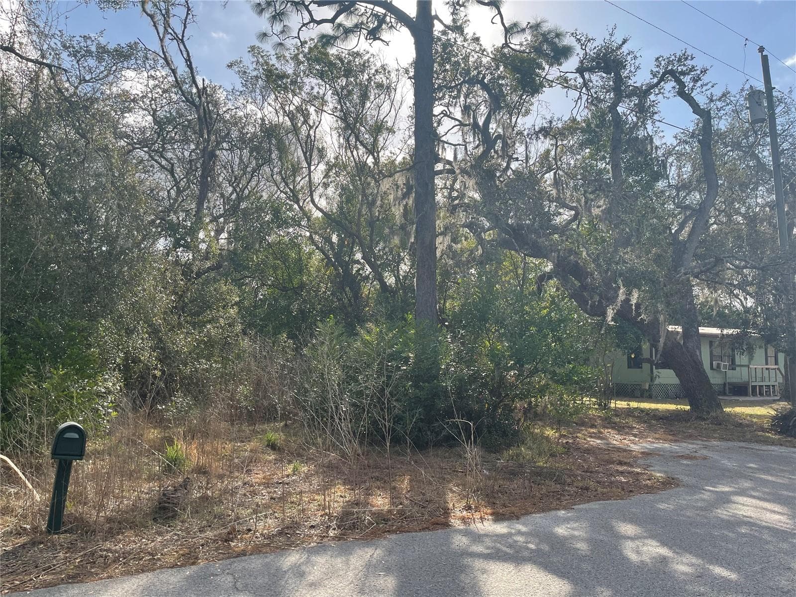 Land at 10024 OANA ST, NEW PORT RICHEY, photo 3 of 4