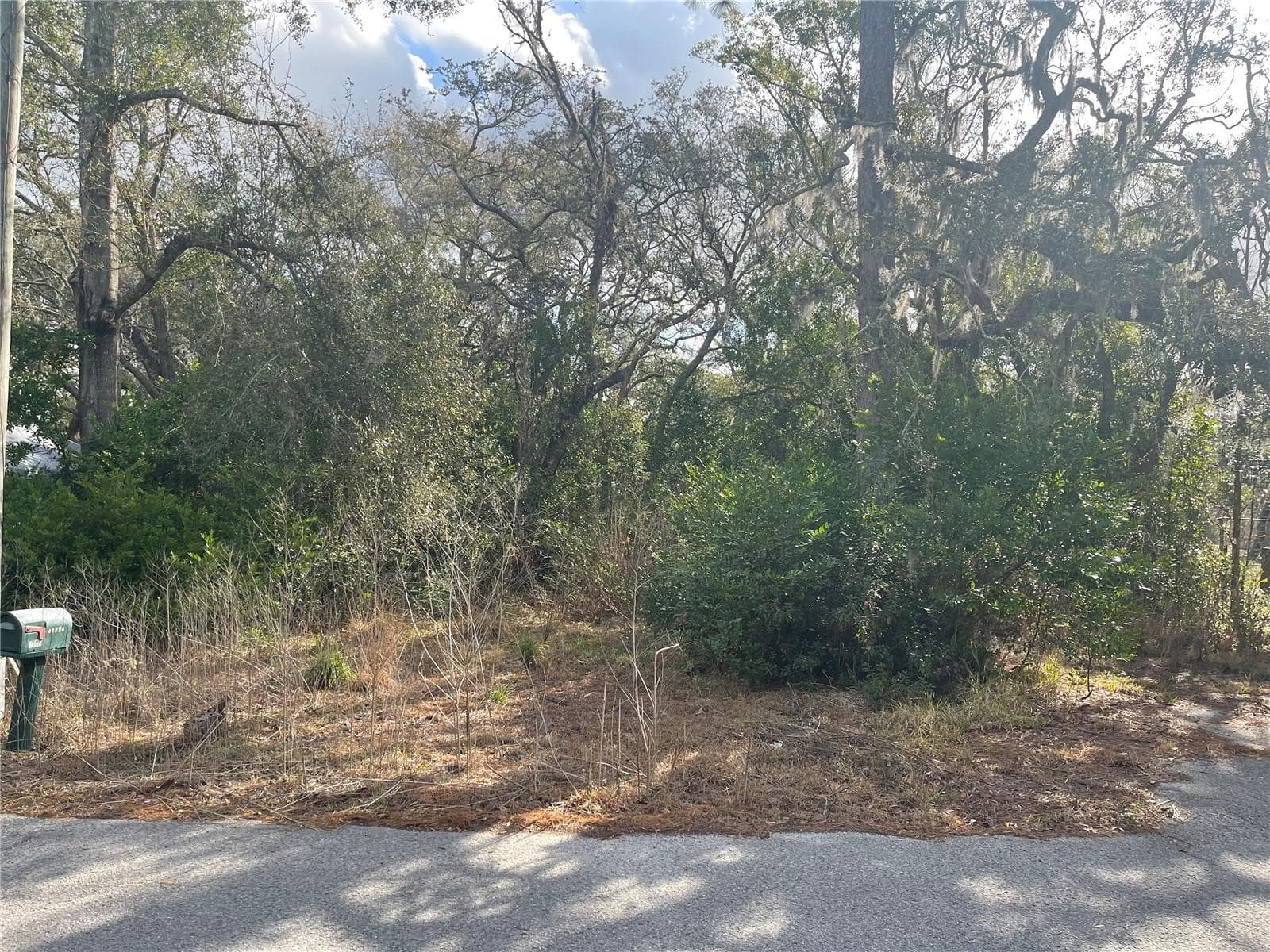 Land at 10024 OANA ST, NEW PORT RICHEY, photo 4 of 4
