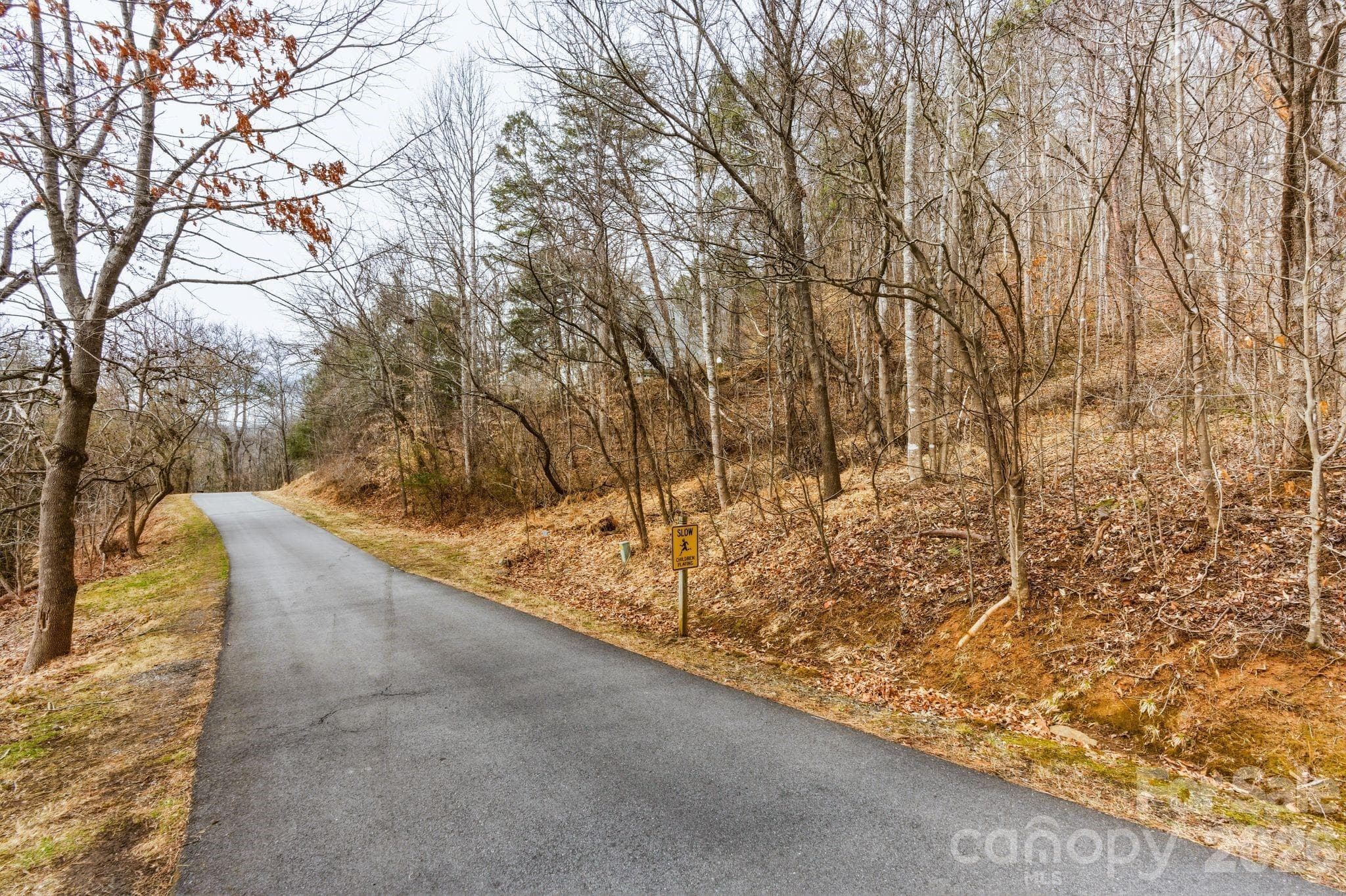 Lot at 99999 Hawk View Drive, Asheville, photo 2 of 12