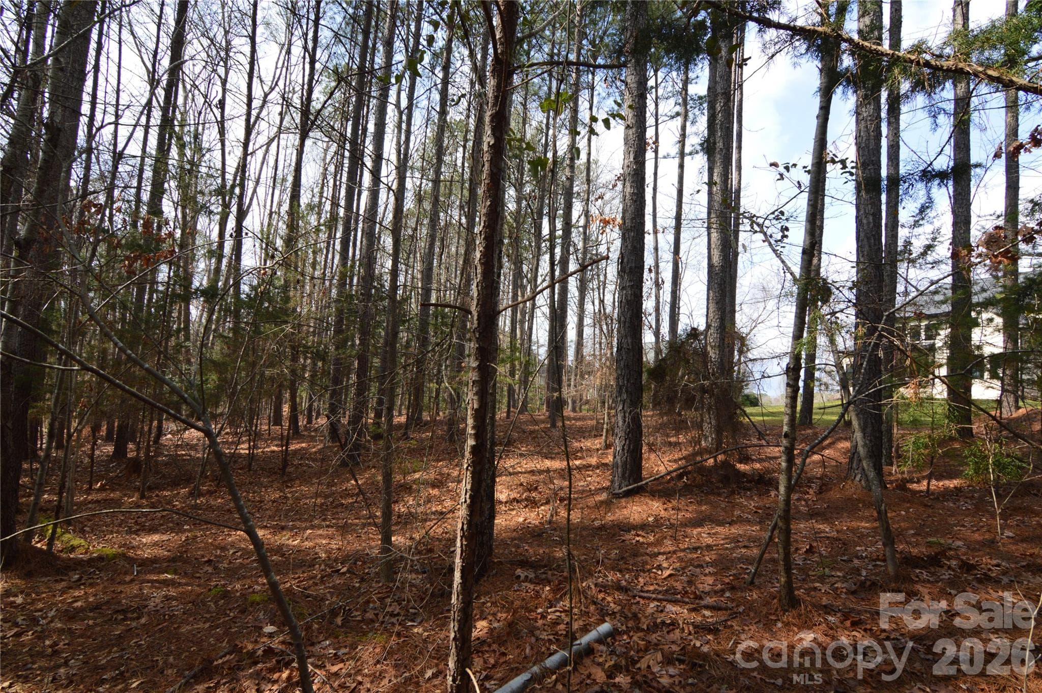 Lot at Belmont, photo 6 of 48