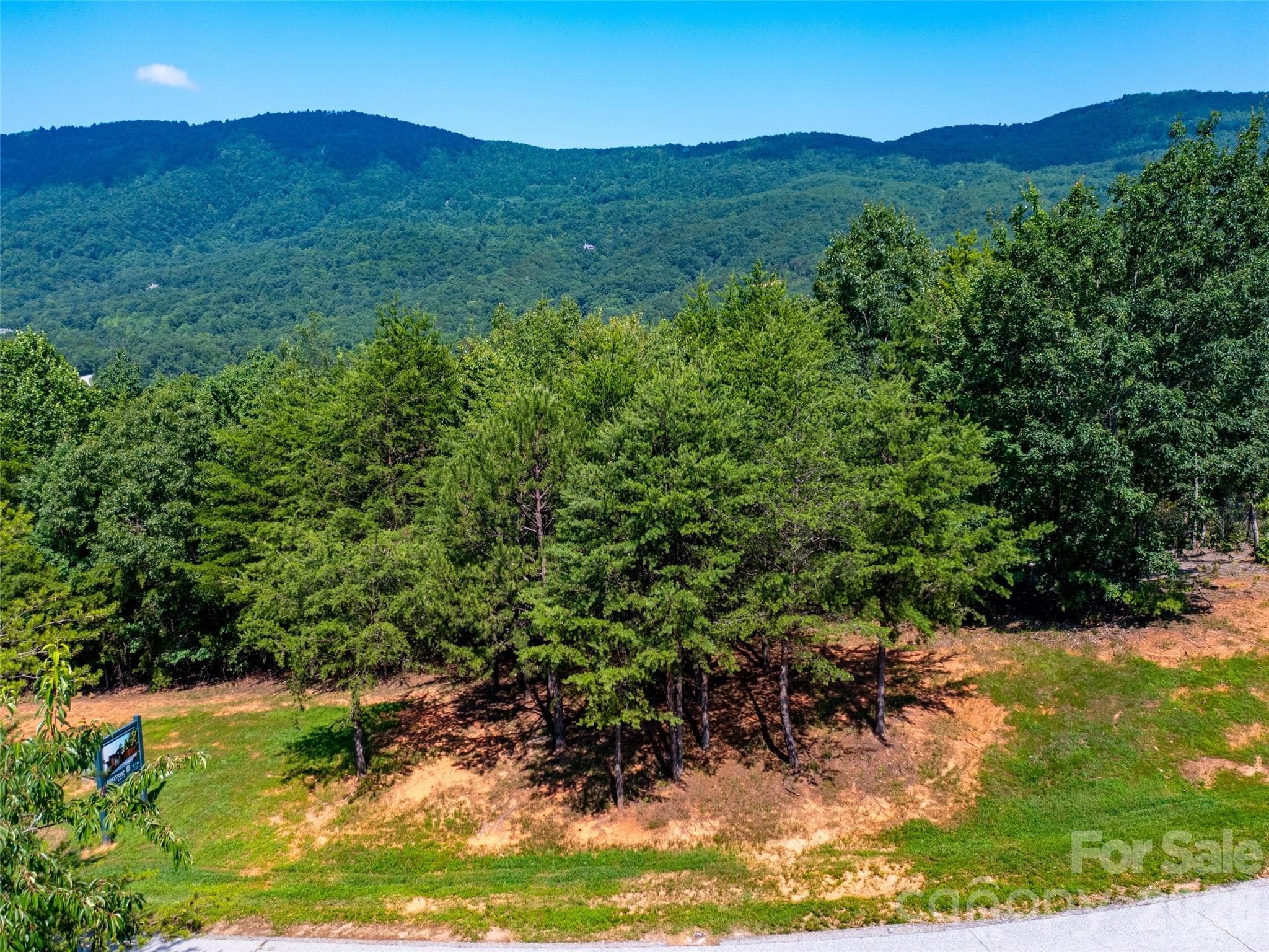 Single Family Residence at 40 Deep Gap Farm Road E, Mill Spring, photo 10 of 20