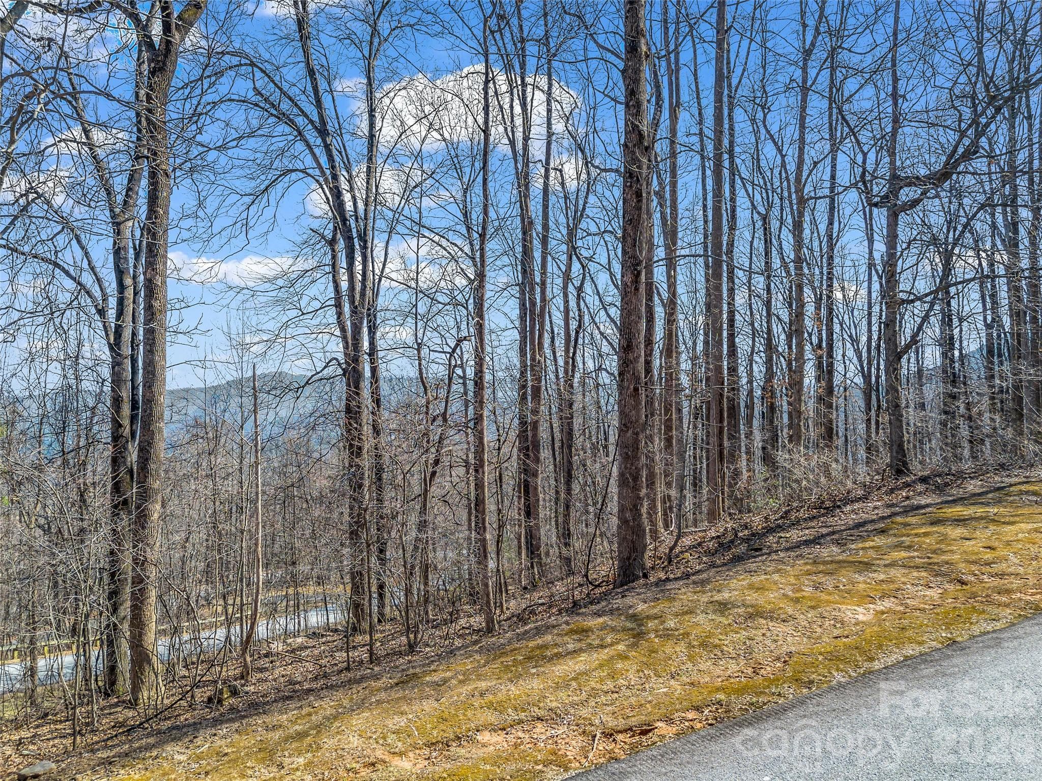 Lot at Mill Spring, photo 7 of 35