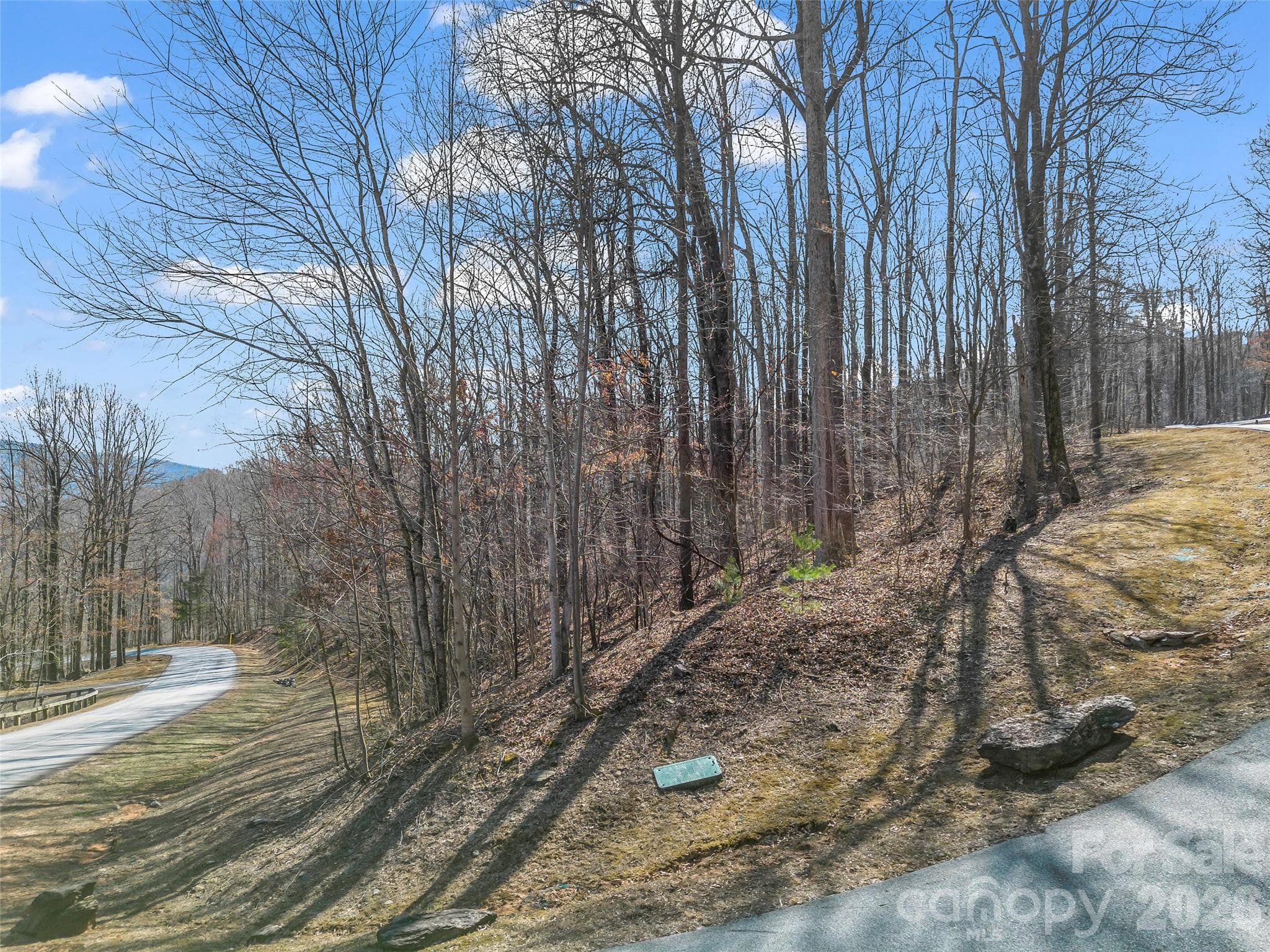 Lot at Mill Spring, photo 8 of 35