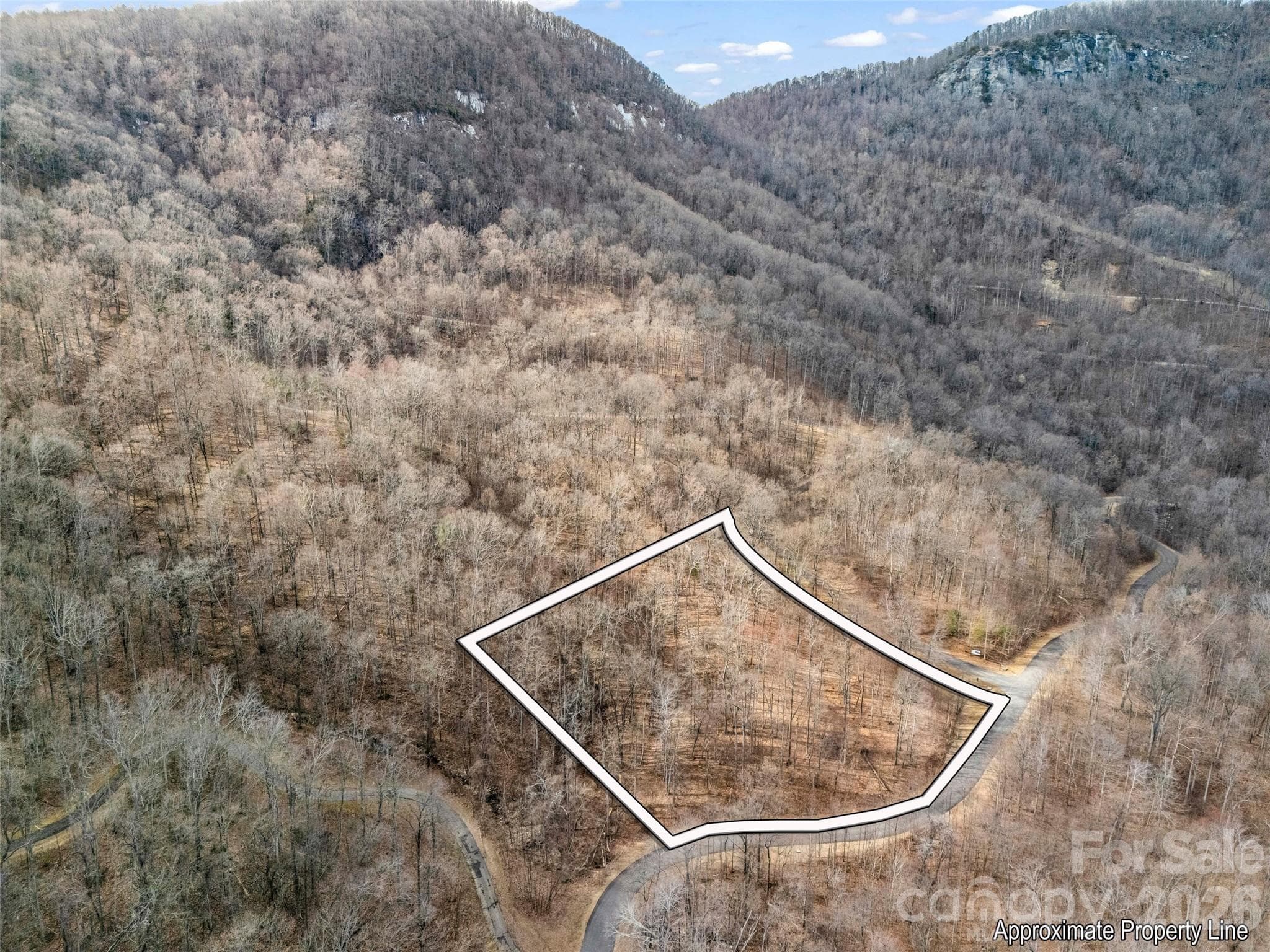 Lot at Mill Spring, photo 3 of 28
