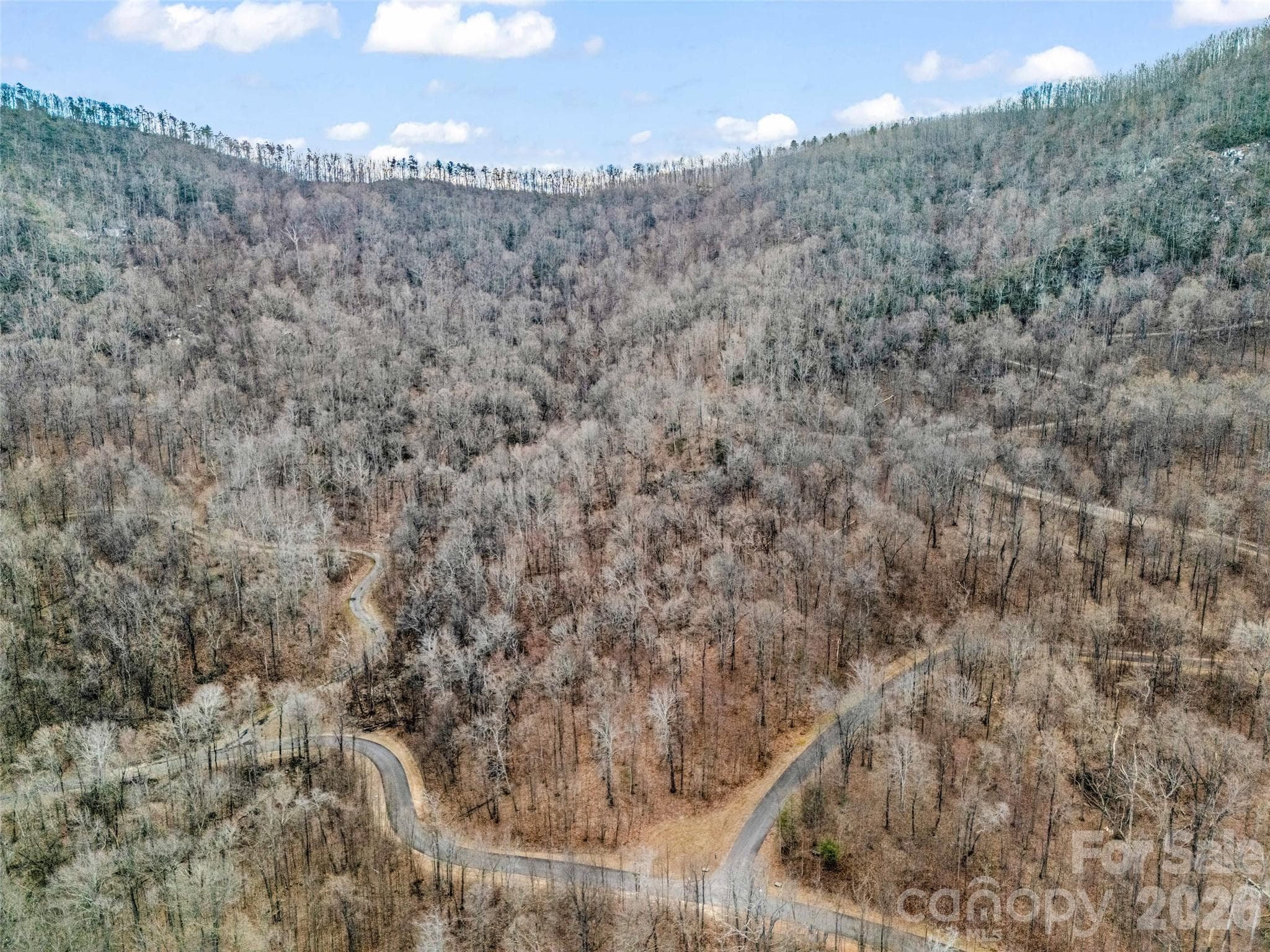 Lot at Mill Spring, photo 5 of 28