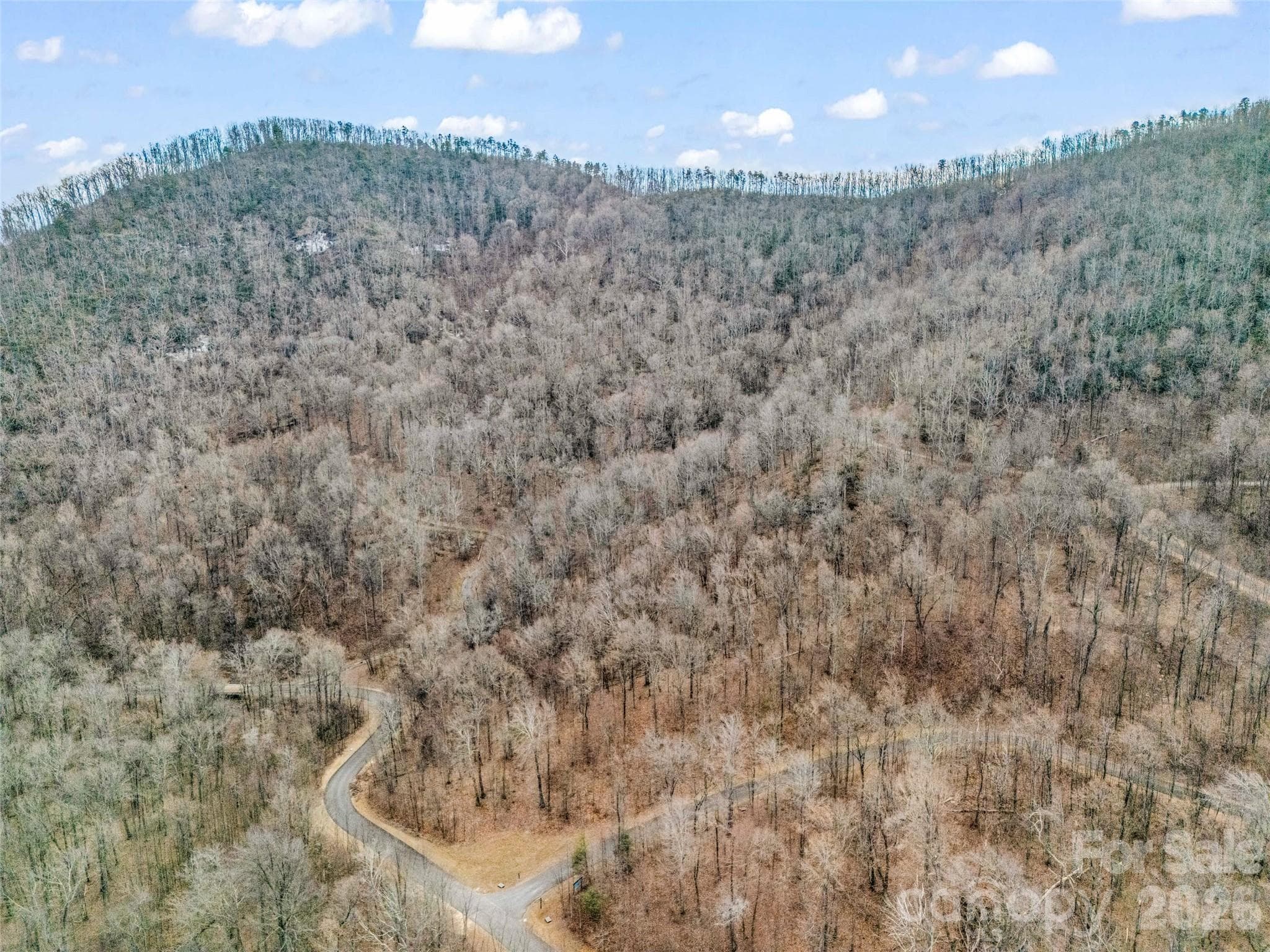 Lot at Mill Spring, photo 6 of 28